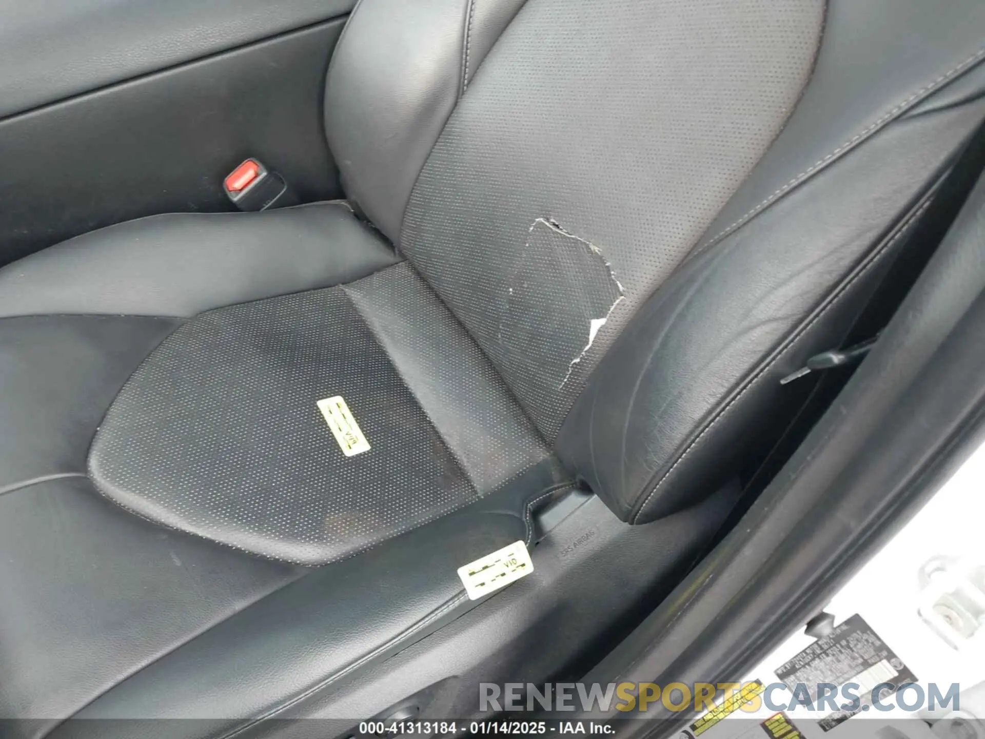 19 fotografías del automóvil dañado 4T1K31AK1MU564966 TOYOTA CAMRY 2021