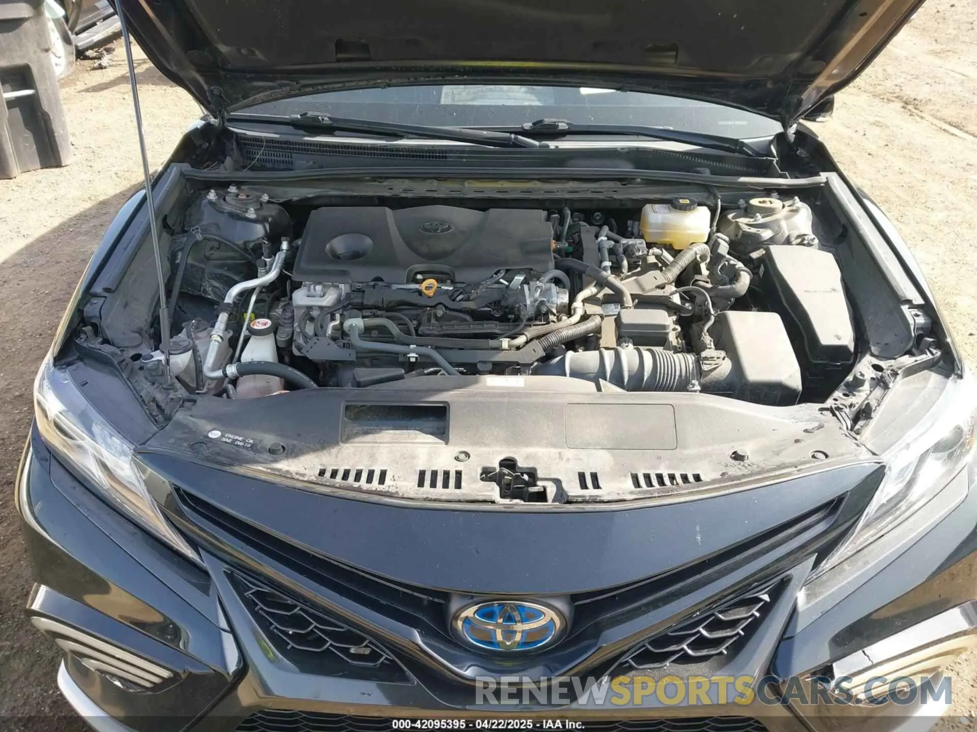 10 fotografías del automóvil dañado 4T1K31AK5MU024696 TOYOTA CAMRY 2021