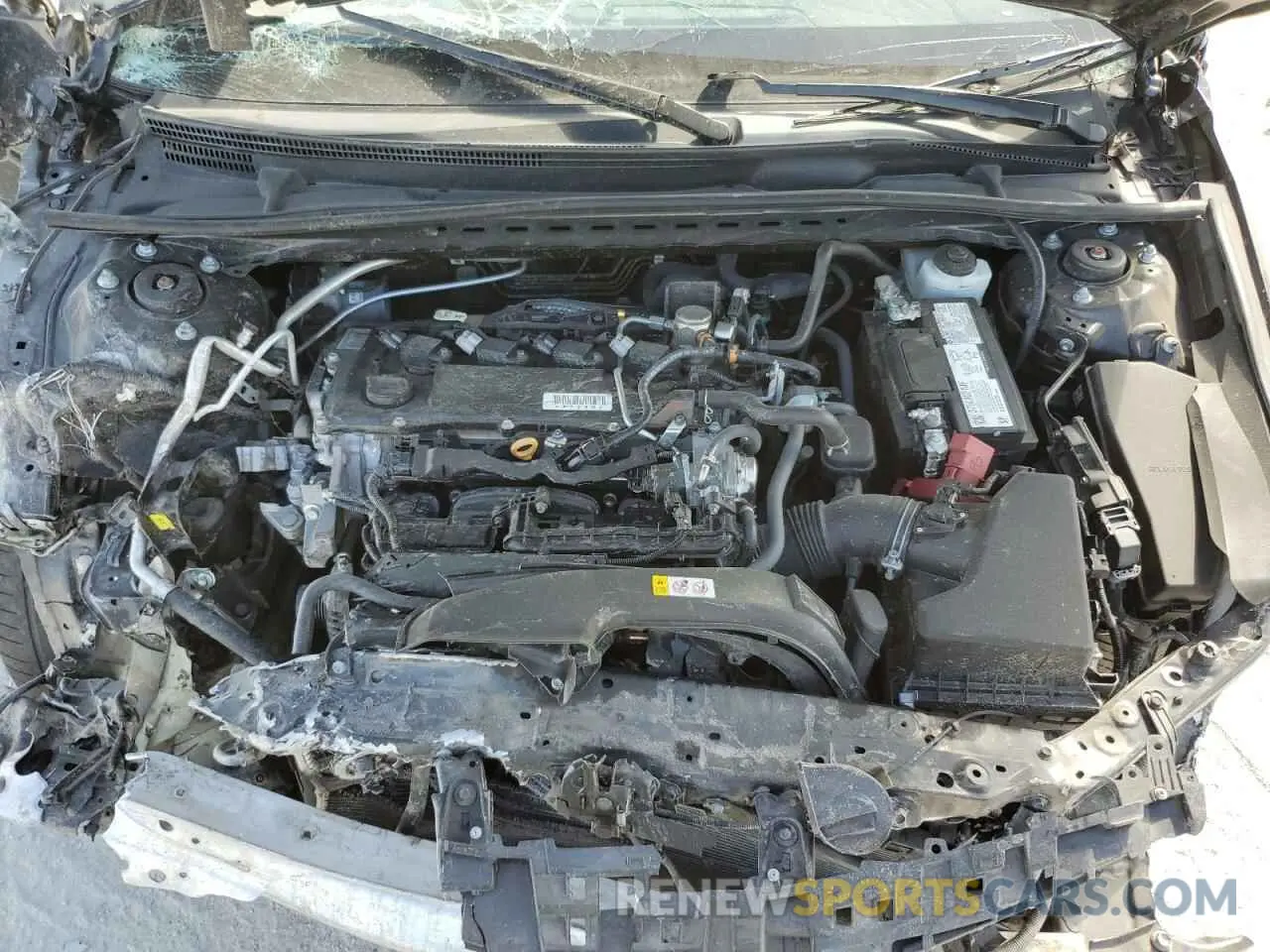 13 fotografías del automóvil dañado 4T1K61AK2MU443189 TOYOTA CAMRY 2021