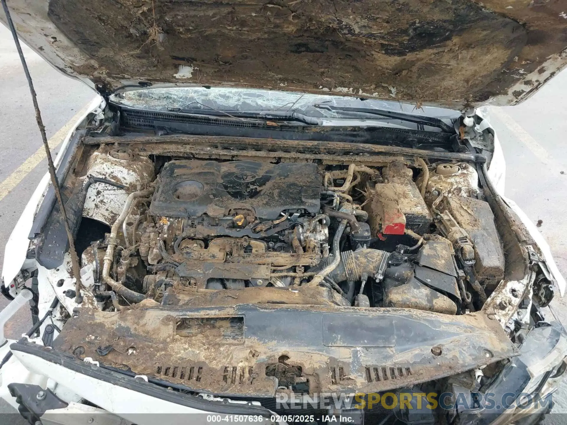 10 fotografías del automóvil dañado 4T1K61AK4MU420545 TOYOTA CAMRY 2021