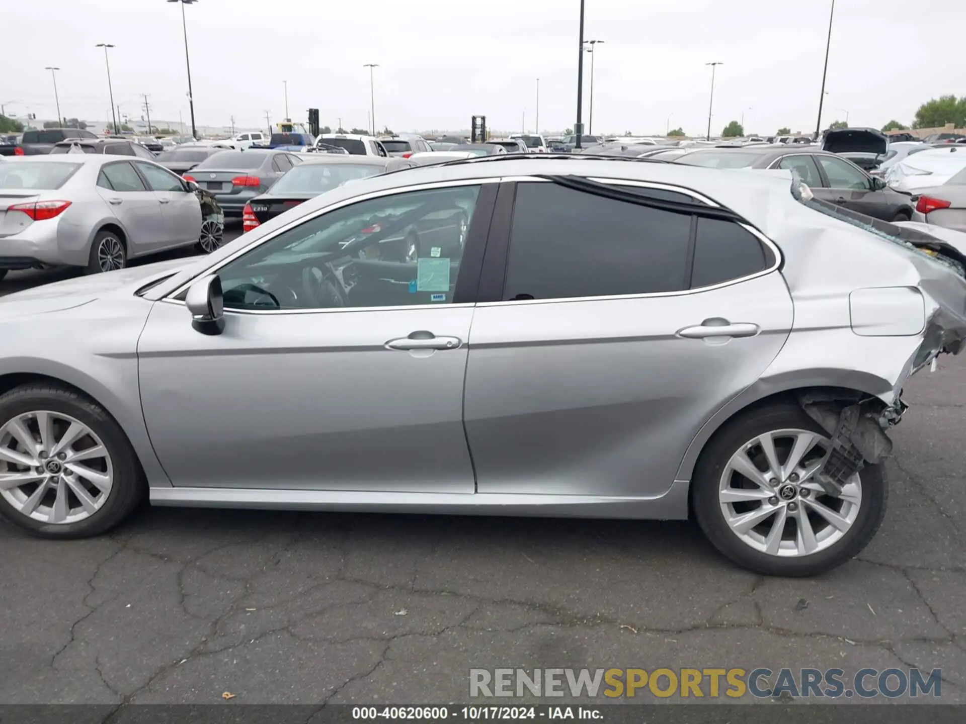 14 fotografías del automóvil dañado 4T1R11AK4MU498384 TOYOTA CAMRY 2021