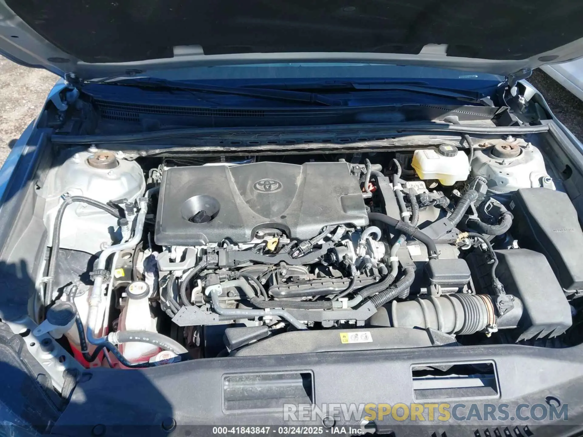 10 fotografías del automóvil dañado 4T1S31AK0MU021656 TOYOTA CAMRY 2021