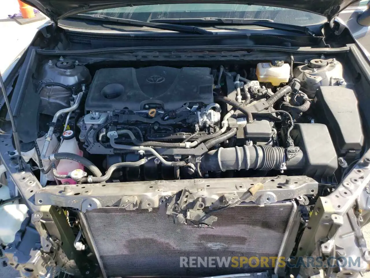 11 fotografías del automóvil dañado 4T1S31AK0MU569303 TOYOTA CAMRY 2021
