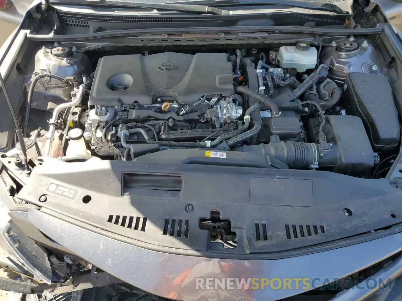 13 fotografías del automóvil dañado 4T1S31AK2MU021822 TOYOTA CAMRY 2021