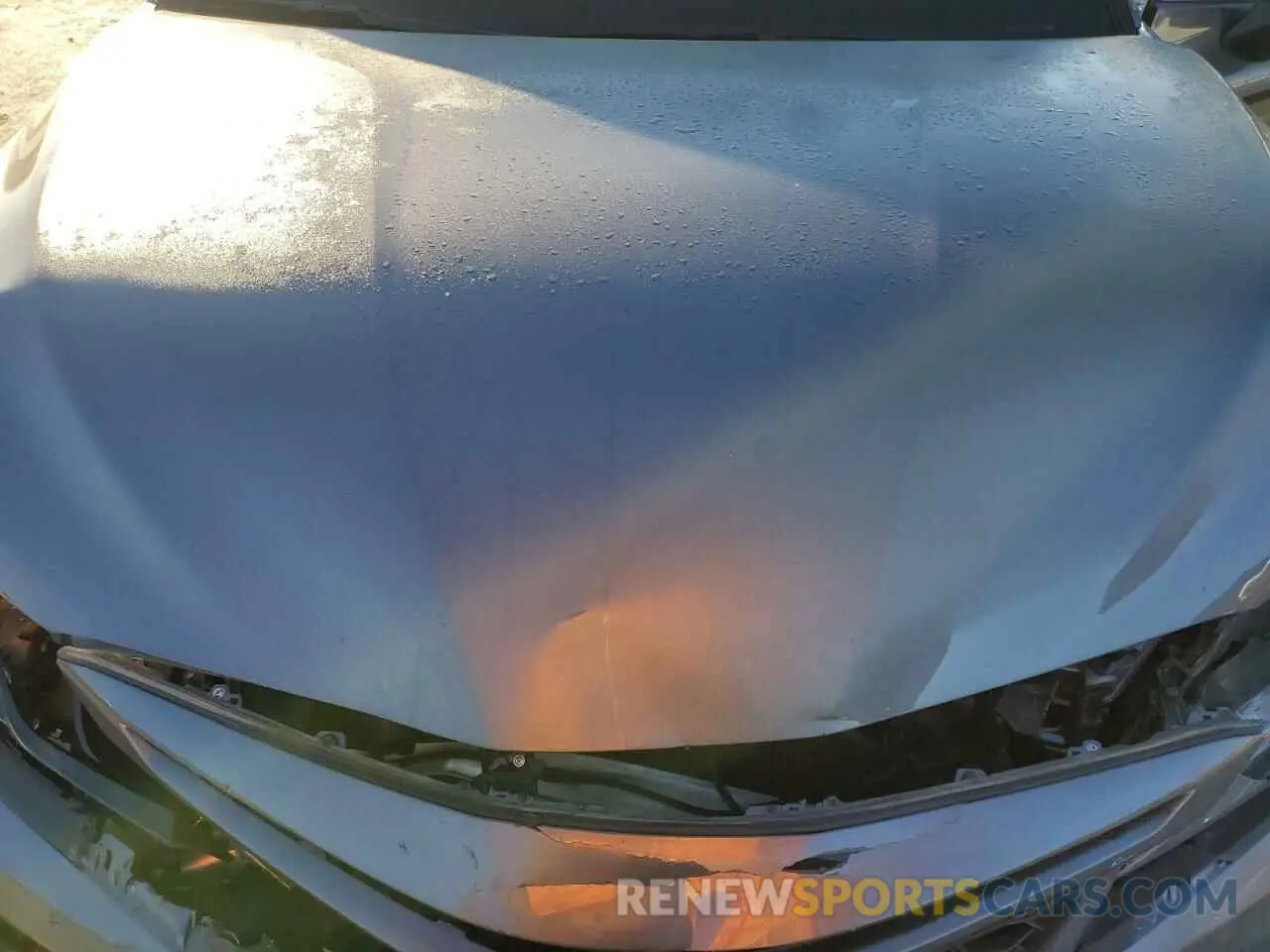 12 fotografías del automóvil dañado 4T1S31AK5MU559219 TOYOTA CAMRY 2021