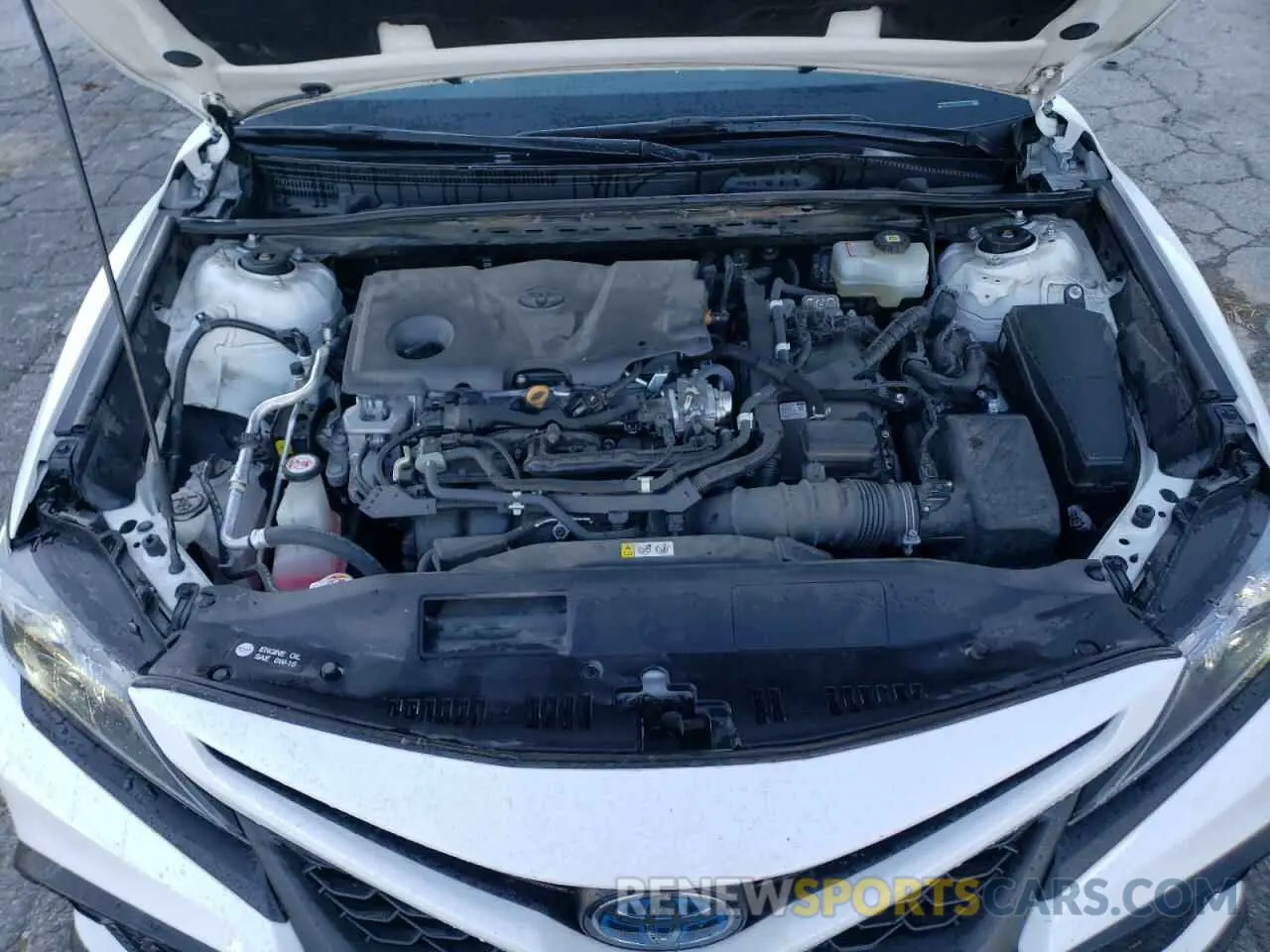 11 fotografías del automóvil dañado 4T1S31AK6MU554787 TOYOTA CAMRY 2021