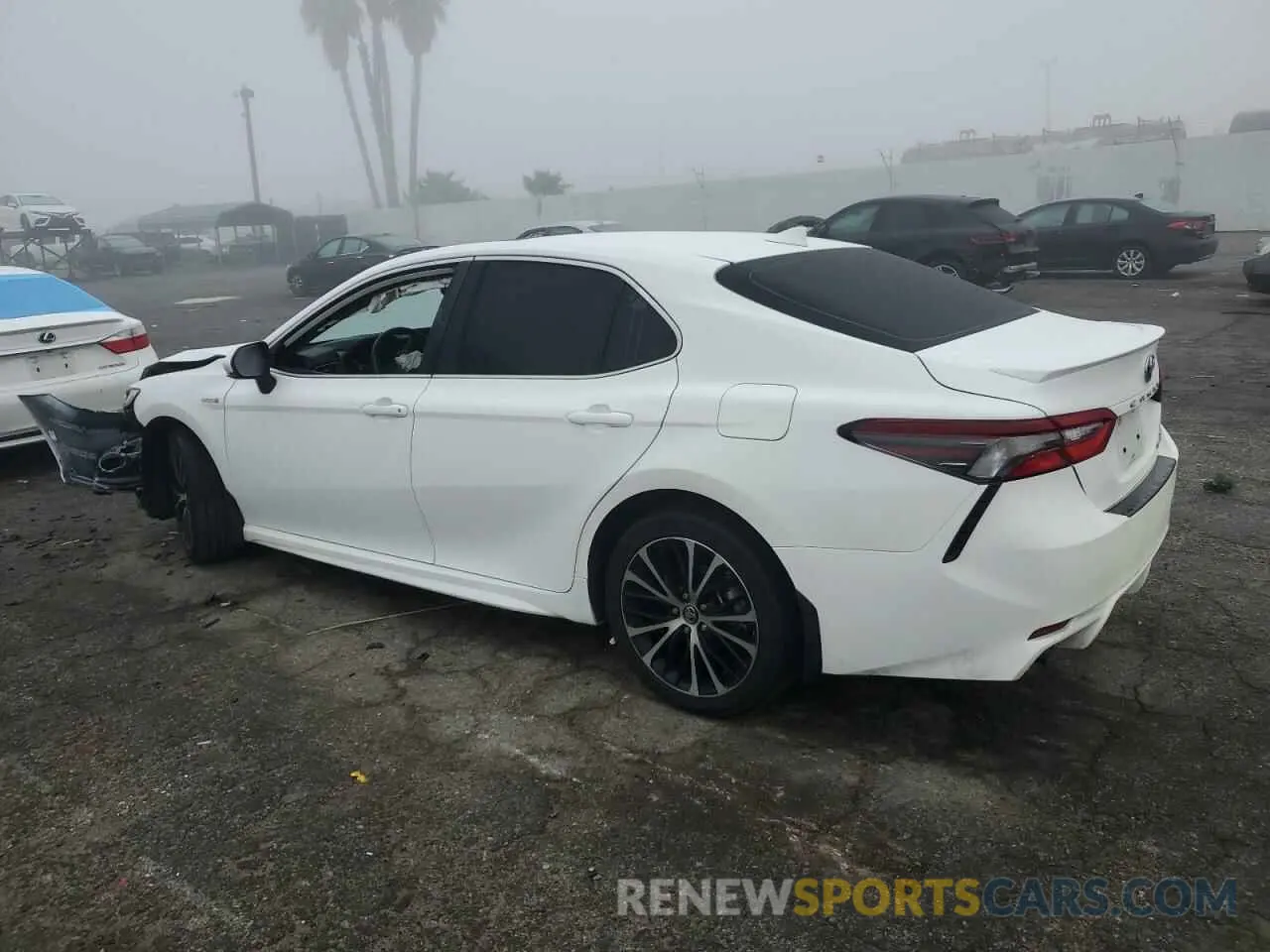 2 fotografías del automóvil dañado 4T1S31AK7MU569959 TOYOTA CAMRY 2021