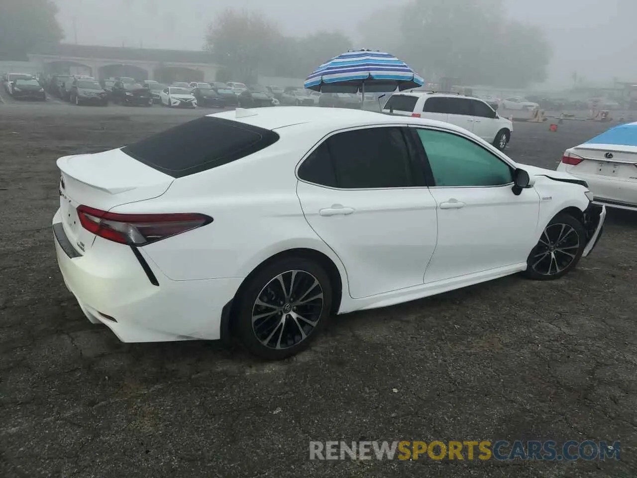 3 fotografías del automóvil dañado 4T1S31AK7MU569959 TOYOTA CAMRY 2021