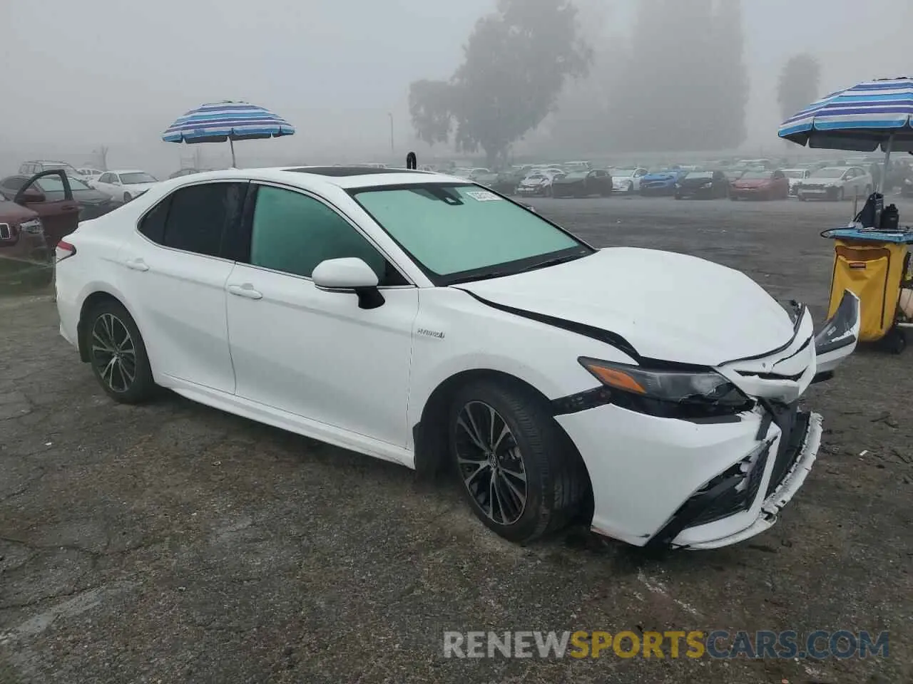 4 fotografías del automóvil dañado 4T1S31AK7MU569959 TOYOTA CAMRY 2021
