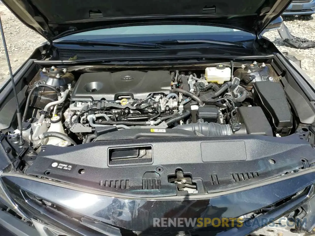 11 fotografías del automóvil dañado 4T1S31AK9MU566500 TOYOTA CAMRY 2021