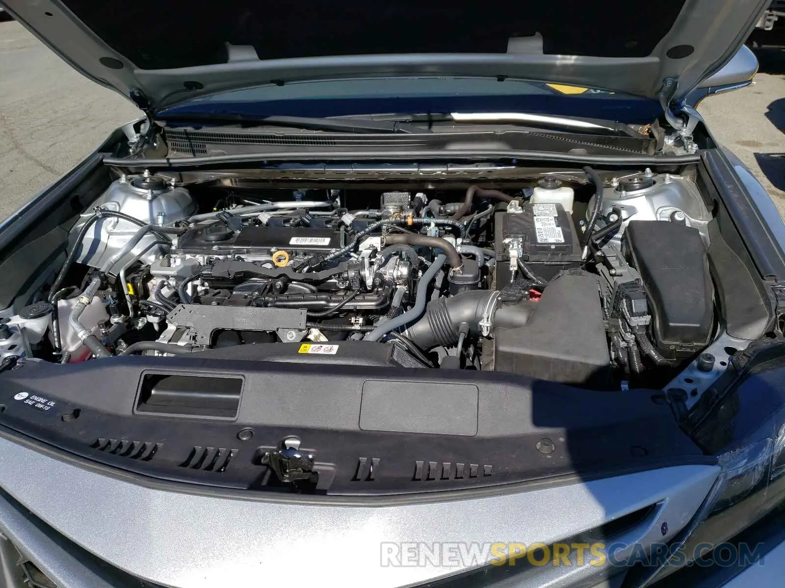7 fotografías del automóvil dañado 4T1T11AK0MU427897 TOYOTA CAMRY 2021