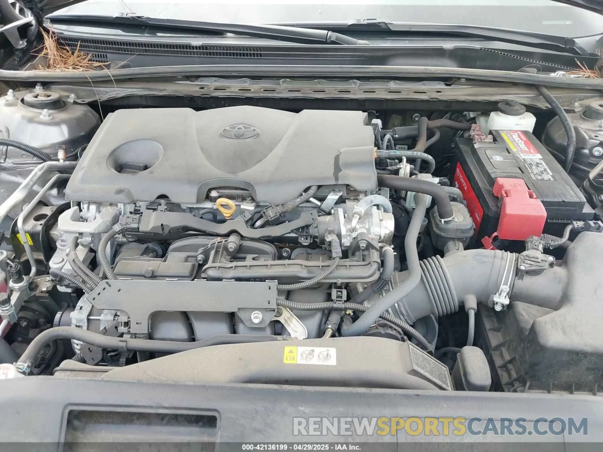 10 fotografías del automóvil dañado 4T1T11AK1MU521870 TOYOTA CAMRY 2021
