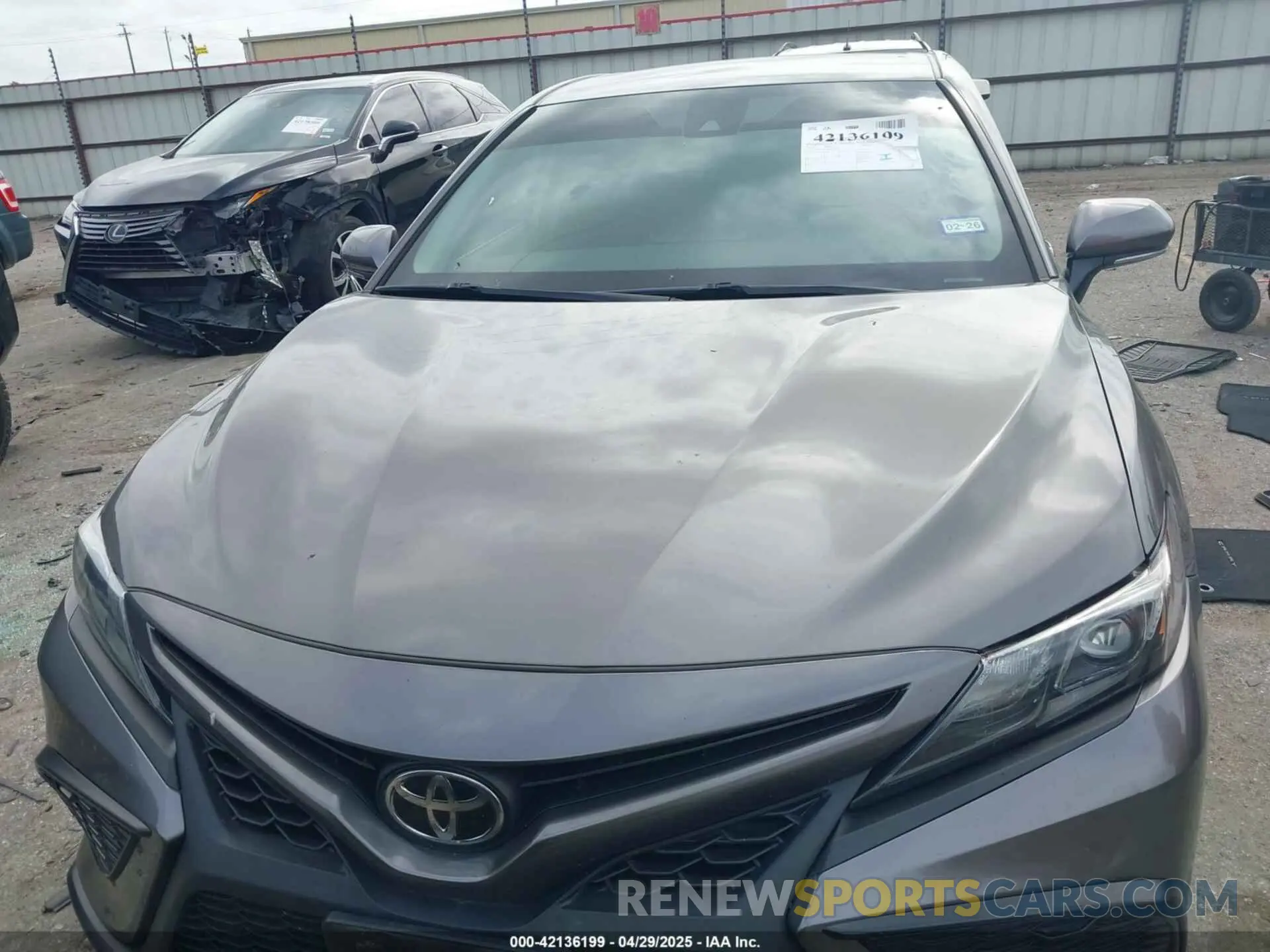 12 fotografías del automóvil dañado 4T1T11AK1MU521870 TOYOTA CAMRY 2021