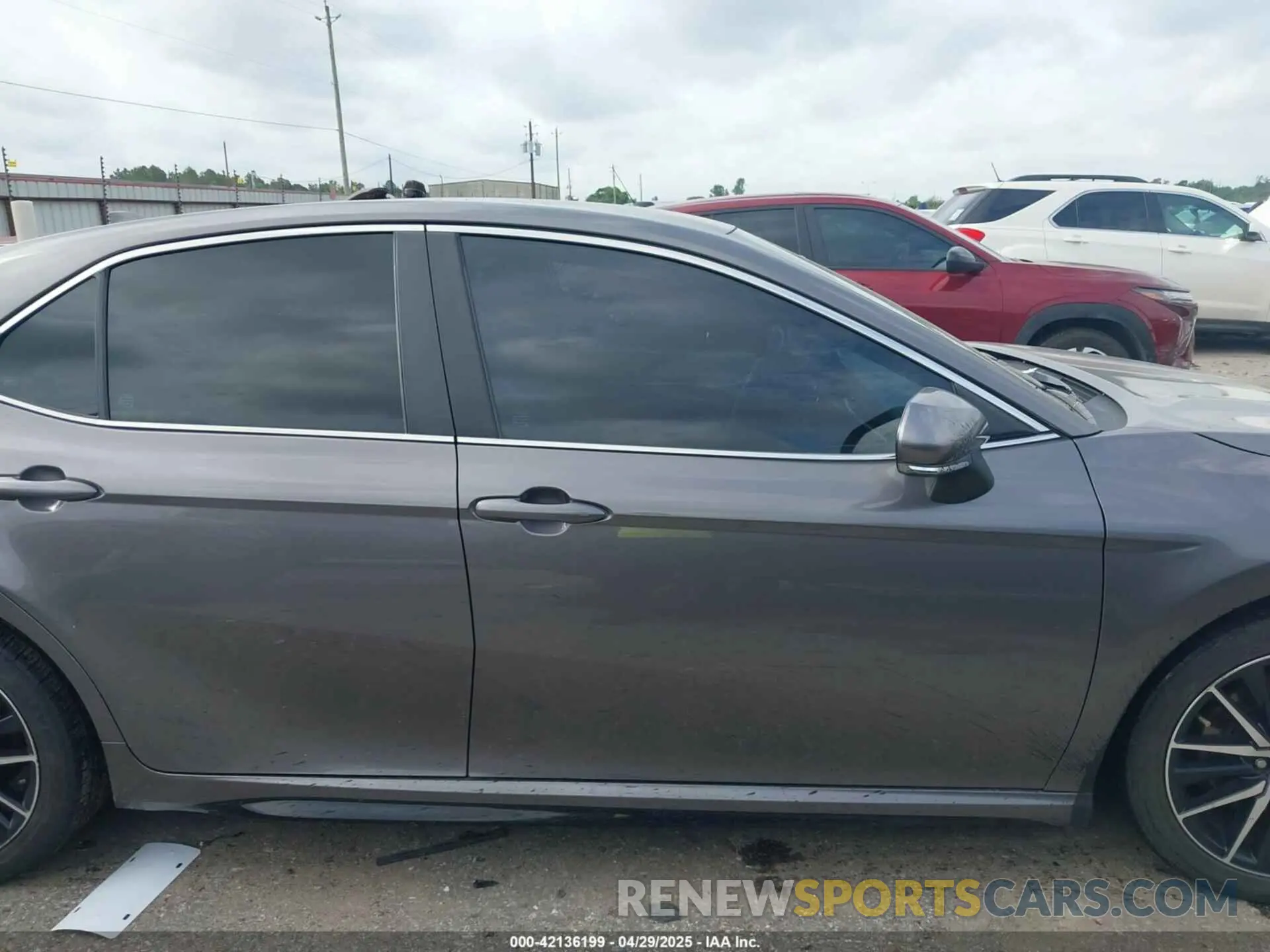 13 fotografías del automóvil dañado 4T1T11AK1MU521870 TOYOTA CAMRY 2021