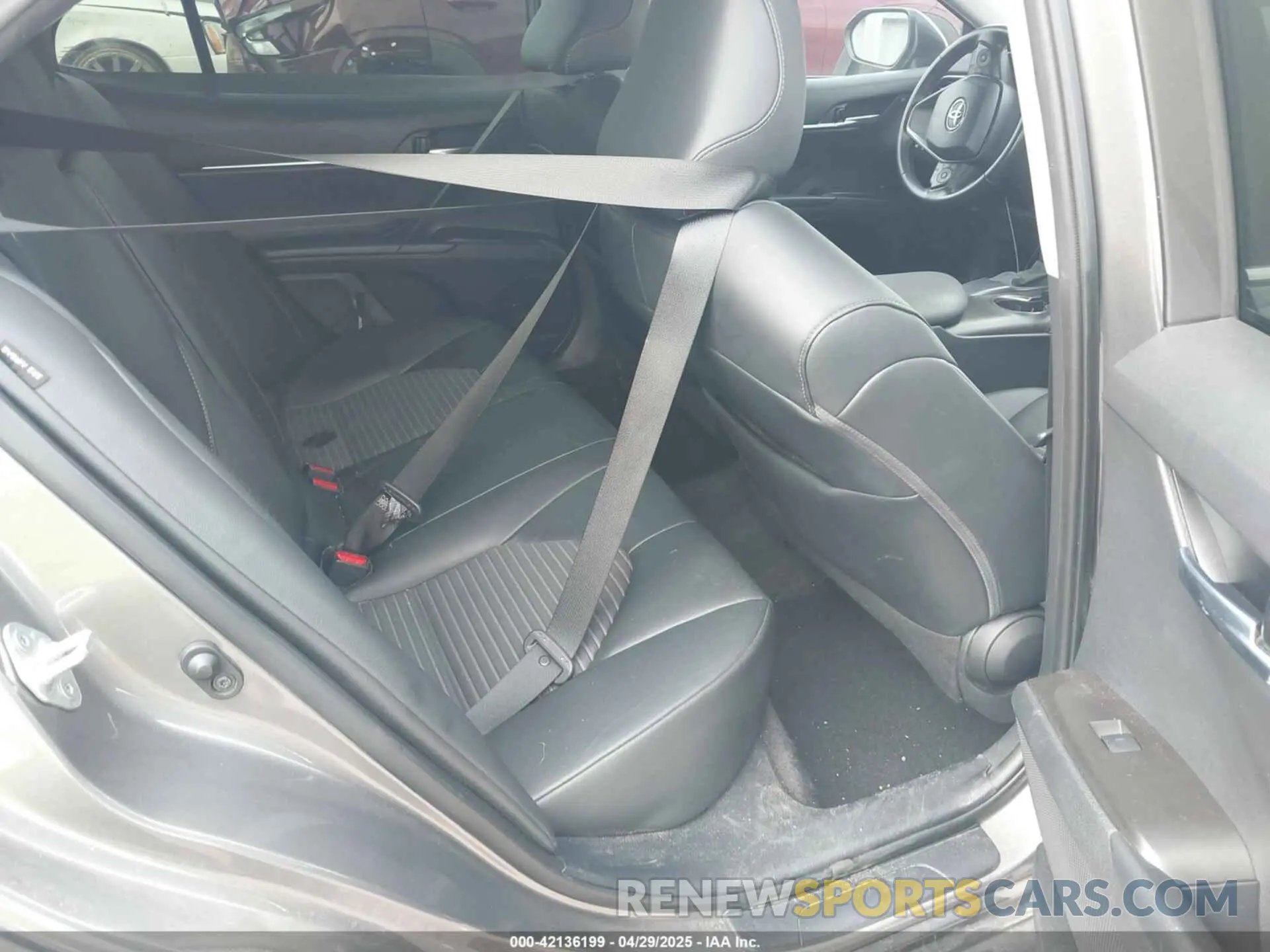 8 fotografías del automóvil dañado 4T1T11AK1MU521870 TOYOTA CAMRY 2021