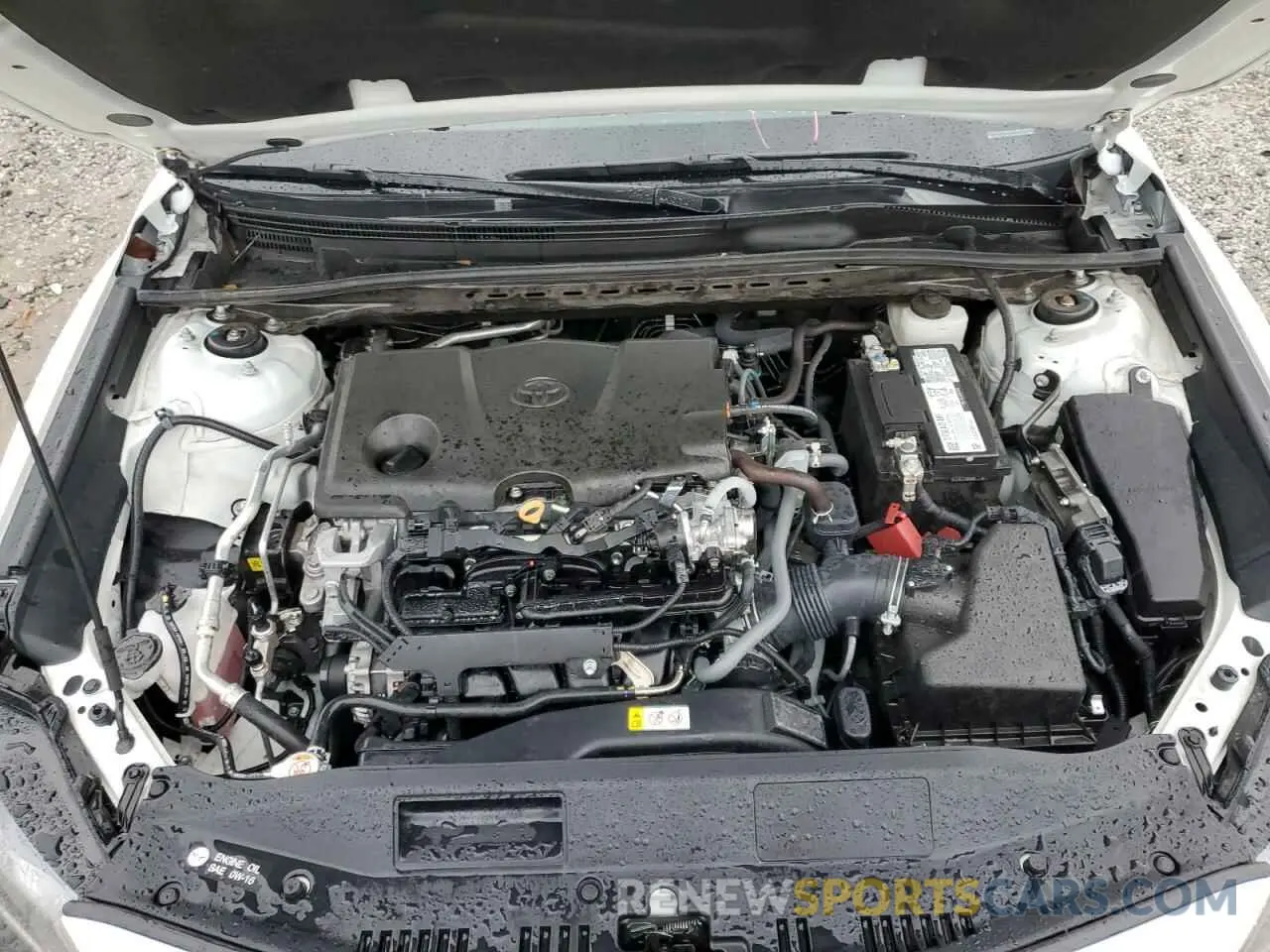 11 fotografías del automóvil dañado 4T1T11AK3MU491772 TOYOTA CAMRY 2021