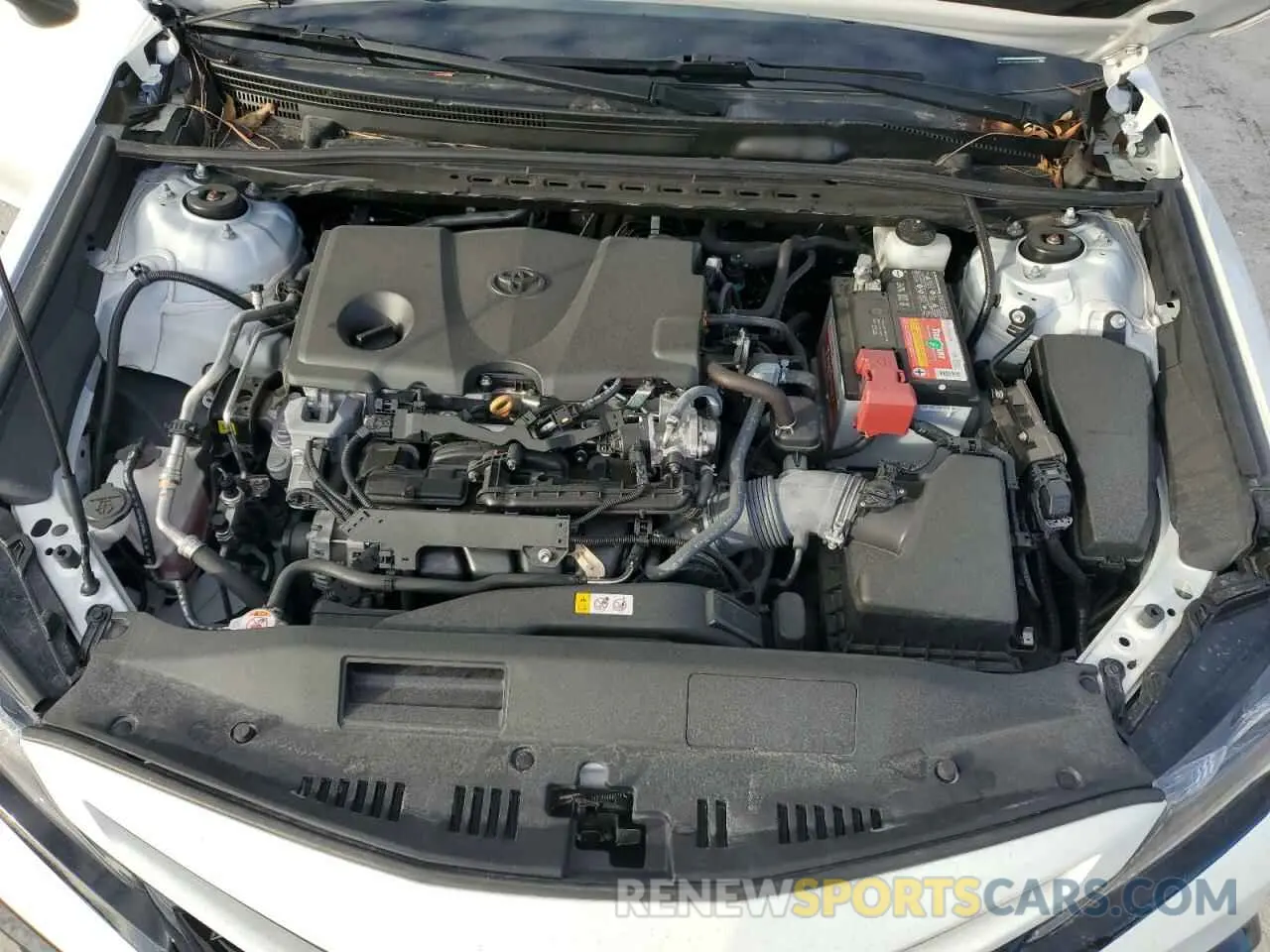 11 fotografías del automóvil dañado 4T1T11AK3MU565269 TOYOTA CAMRY 2021