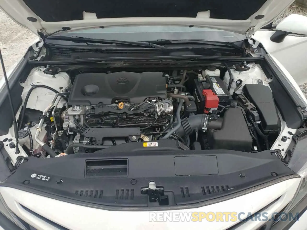 11 fotografías del automóvil dañado 4T1T11AK8MU513331 TOYOTA CAMRY 2021