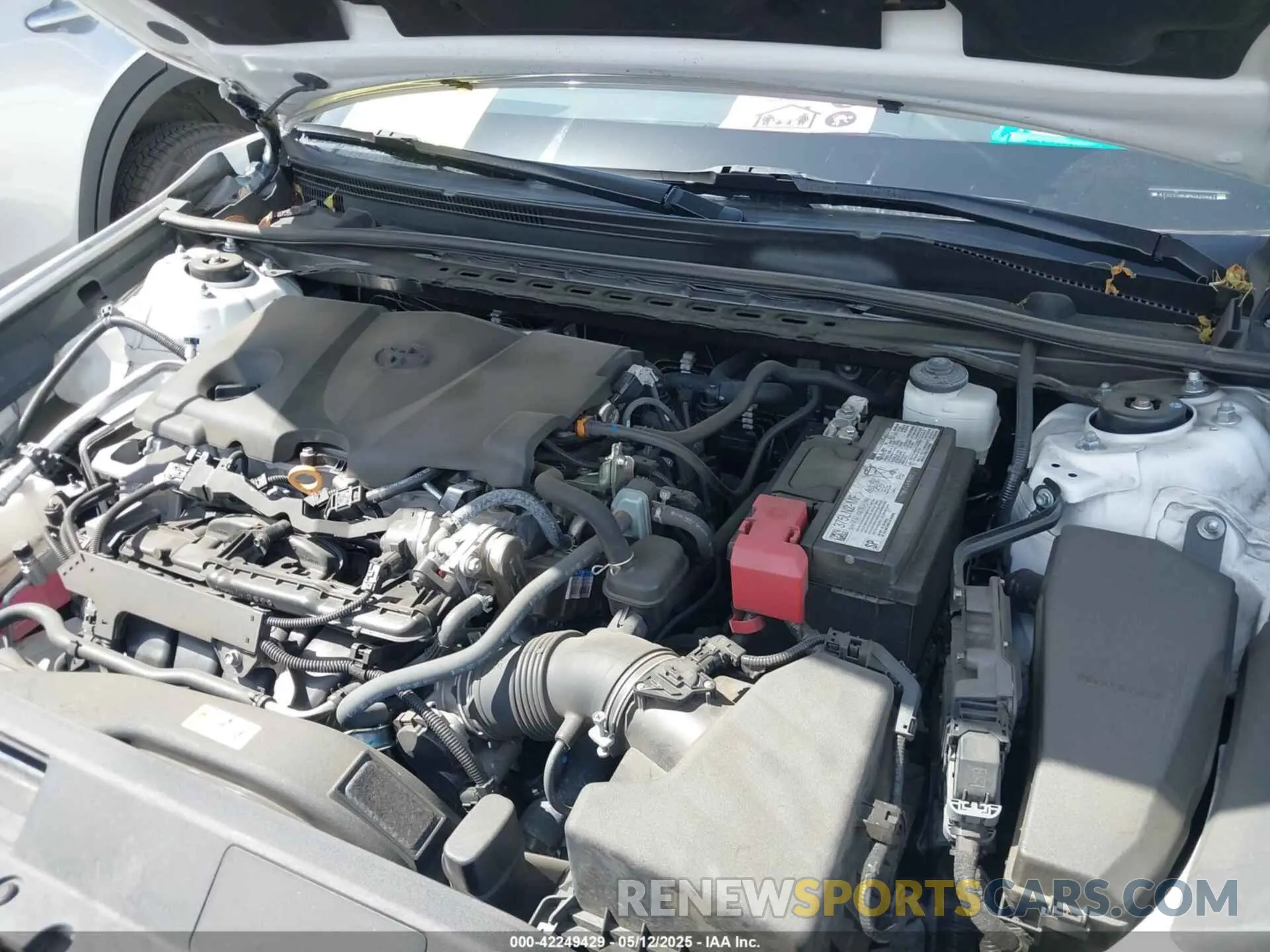 10 fotografías del automóvil dañado 4T1T11AK8MU525883 TOYOTA CAMRY 2021