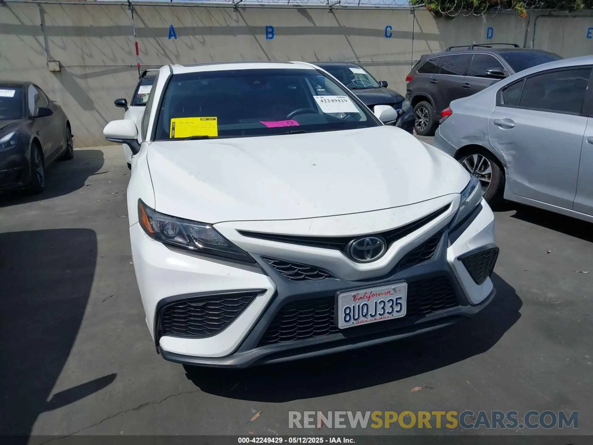 12 fotografías del automóvil dañado 4T1T11AK8MU525883 TOYOTA CAMRY 2021