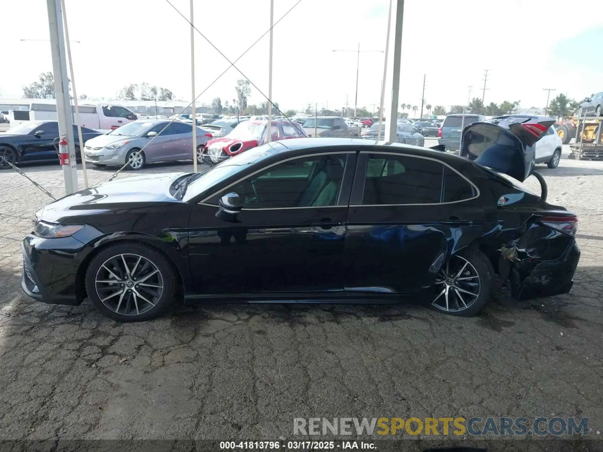 15 fotografías del automóvil dañado 4T1T11AKXMU552275 TOYOTA CAMRY 2021