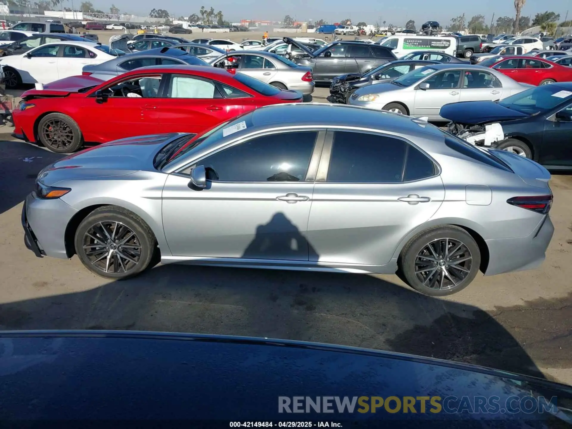 14 fotografías del automóvil dañado 4T1T11BK1MU041620 TOYOTA CAMRY 2021