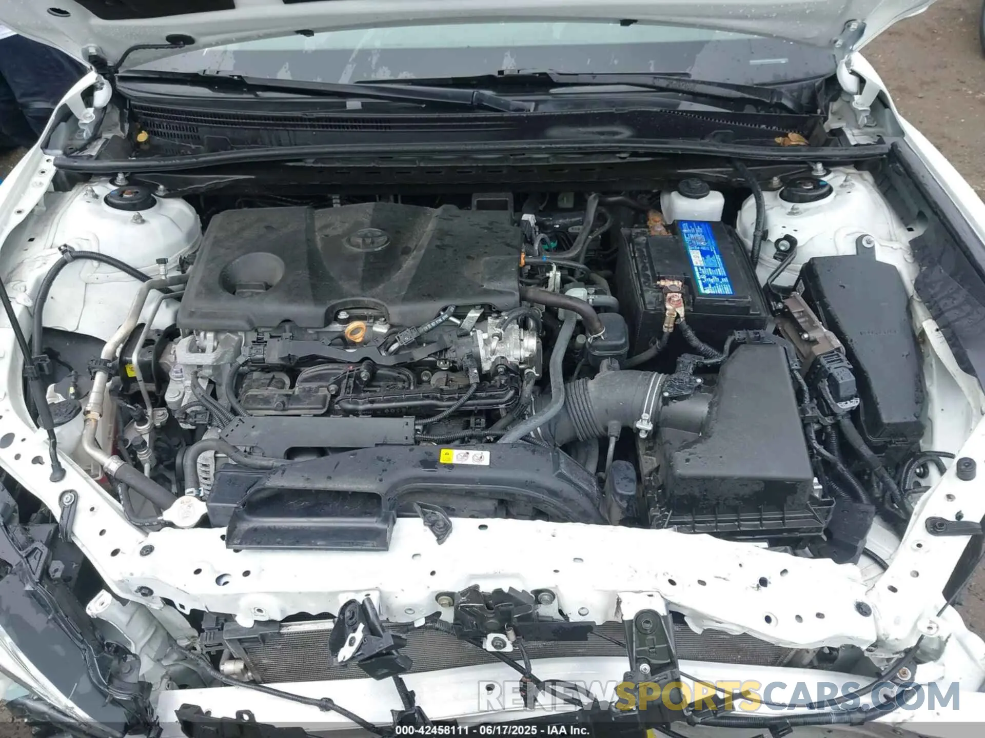 10 fotografías del automóvil dañado 4T1T11BK6MU031374 TOYOTA CAMRY 2021