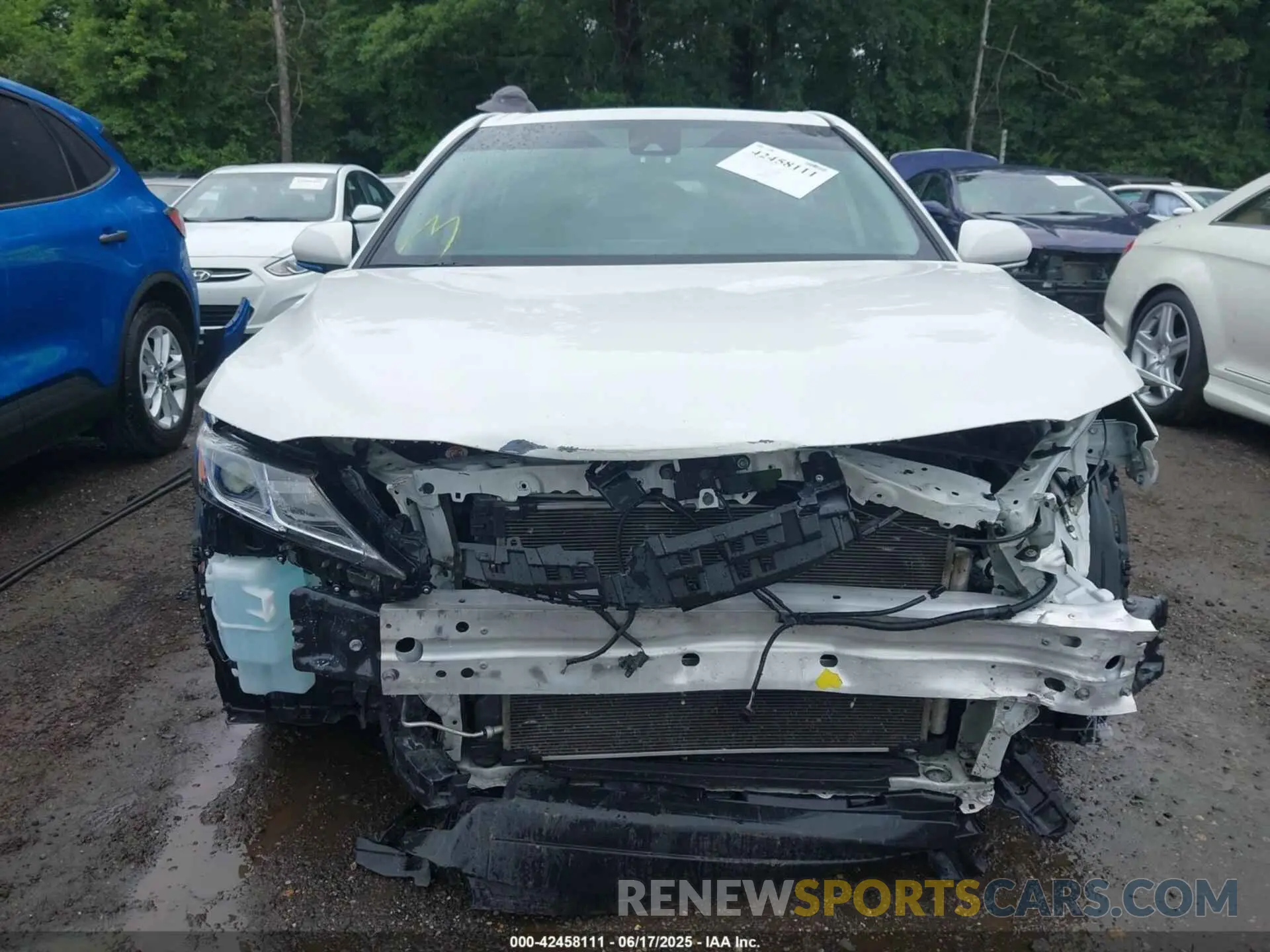 12 fotografías del automóvil dañado 4T1T11BK6MU031374 TOYOTA CAMRY 2021