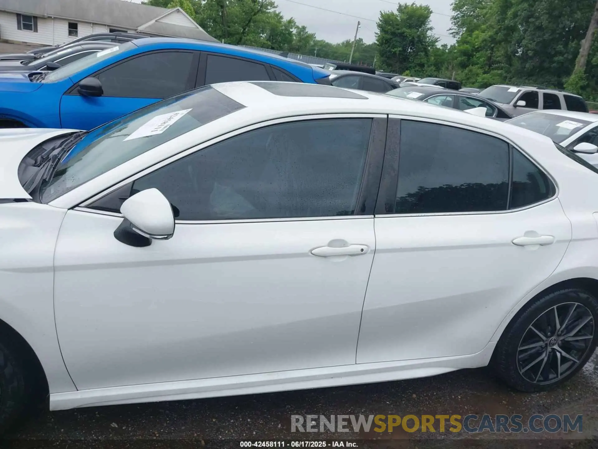 14 fotografías del automóvil dañado 4T1T11BK6MU031374 TOYOTA CAMRY 2021