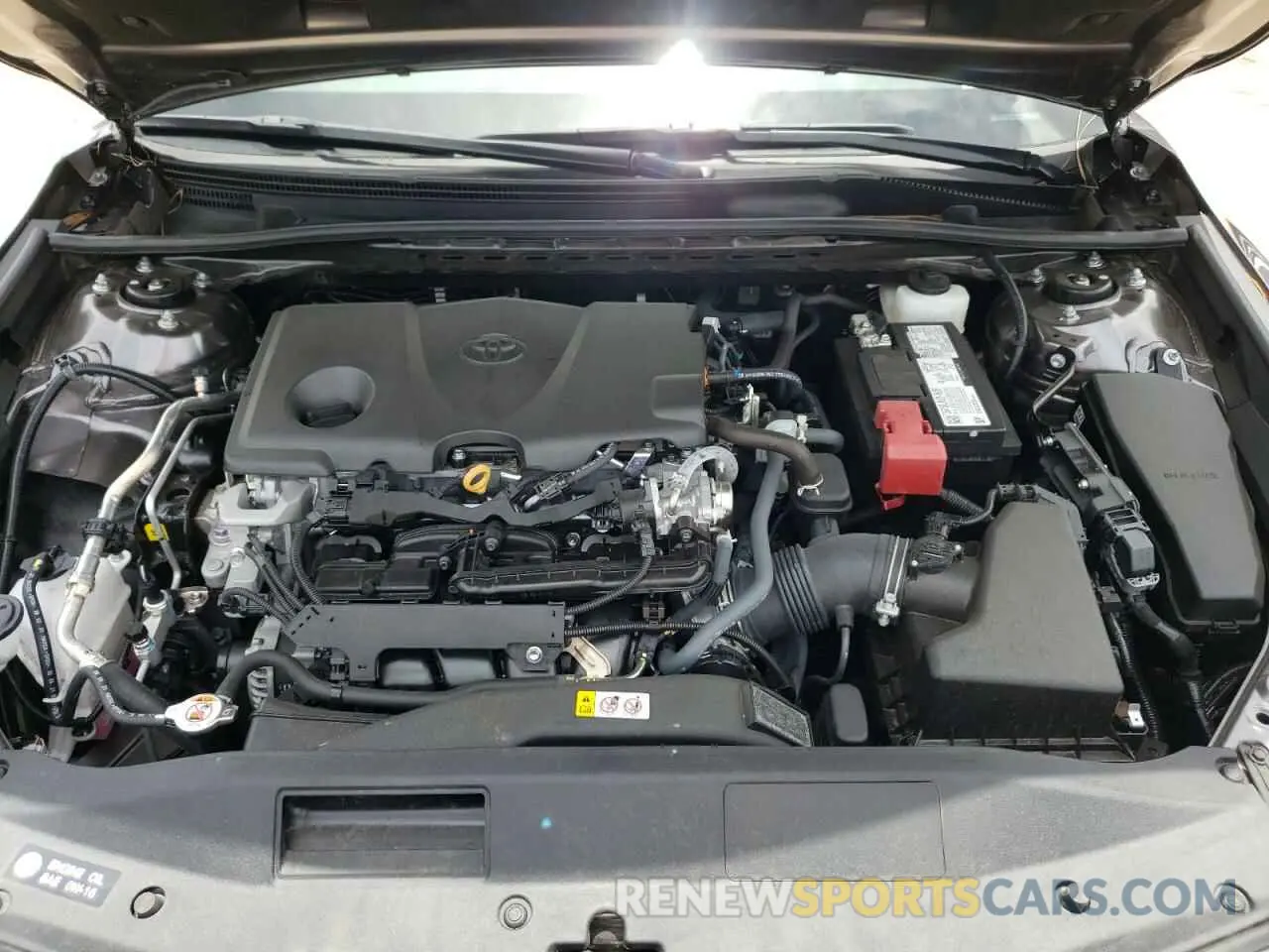 7 fotografías del automóvil dañado 4T1C11AK1NU012170 TOYOTA CAMRY 2022