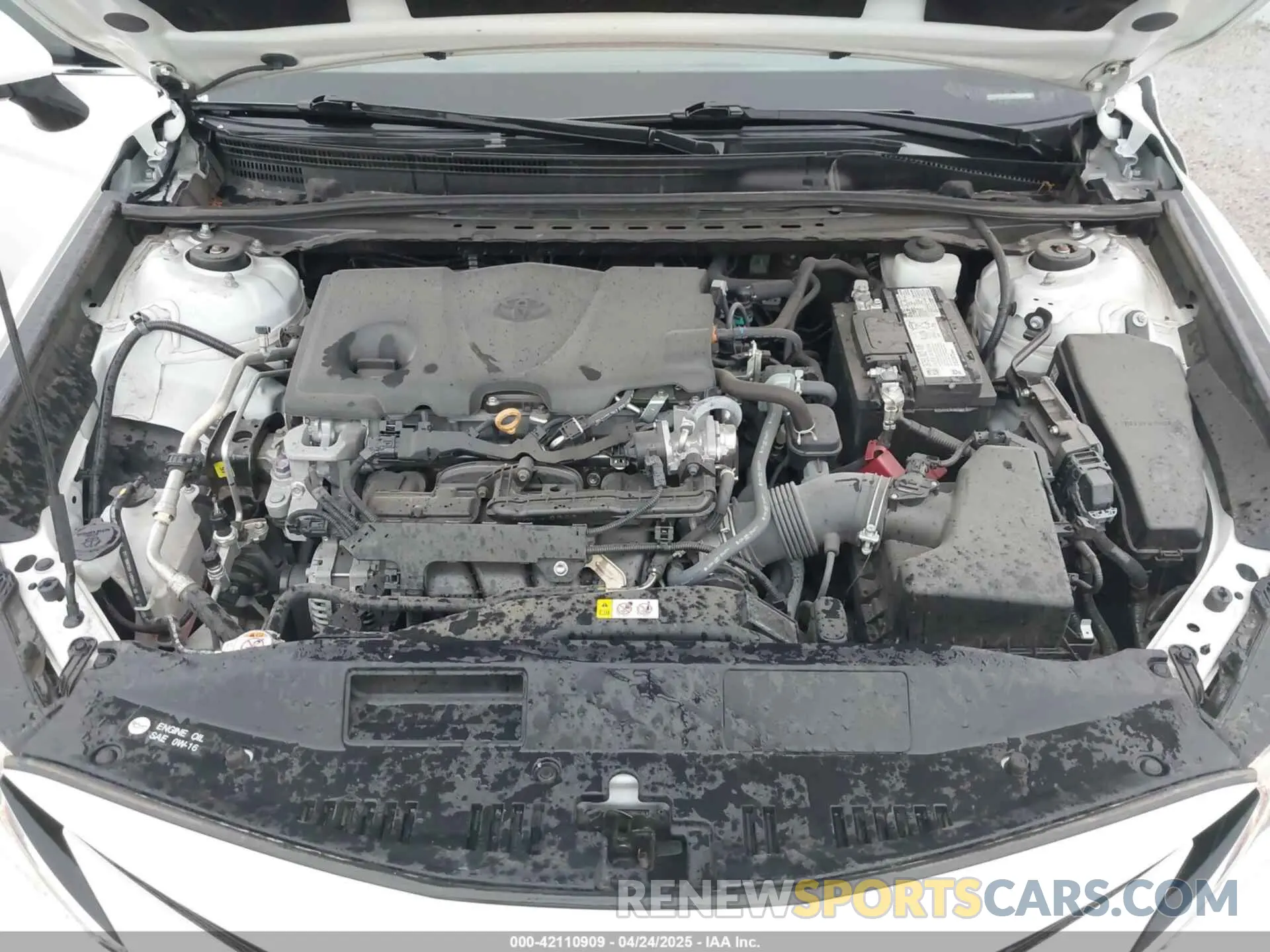 10 fotografías del automóvil dañado 4T1C11AK5NU004475 TOYOTA CAMRY 2022