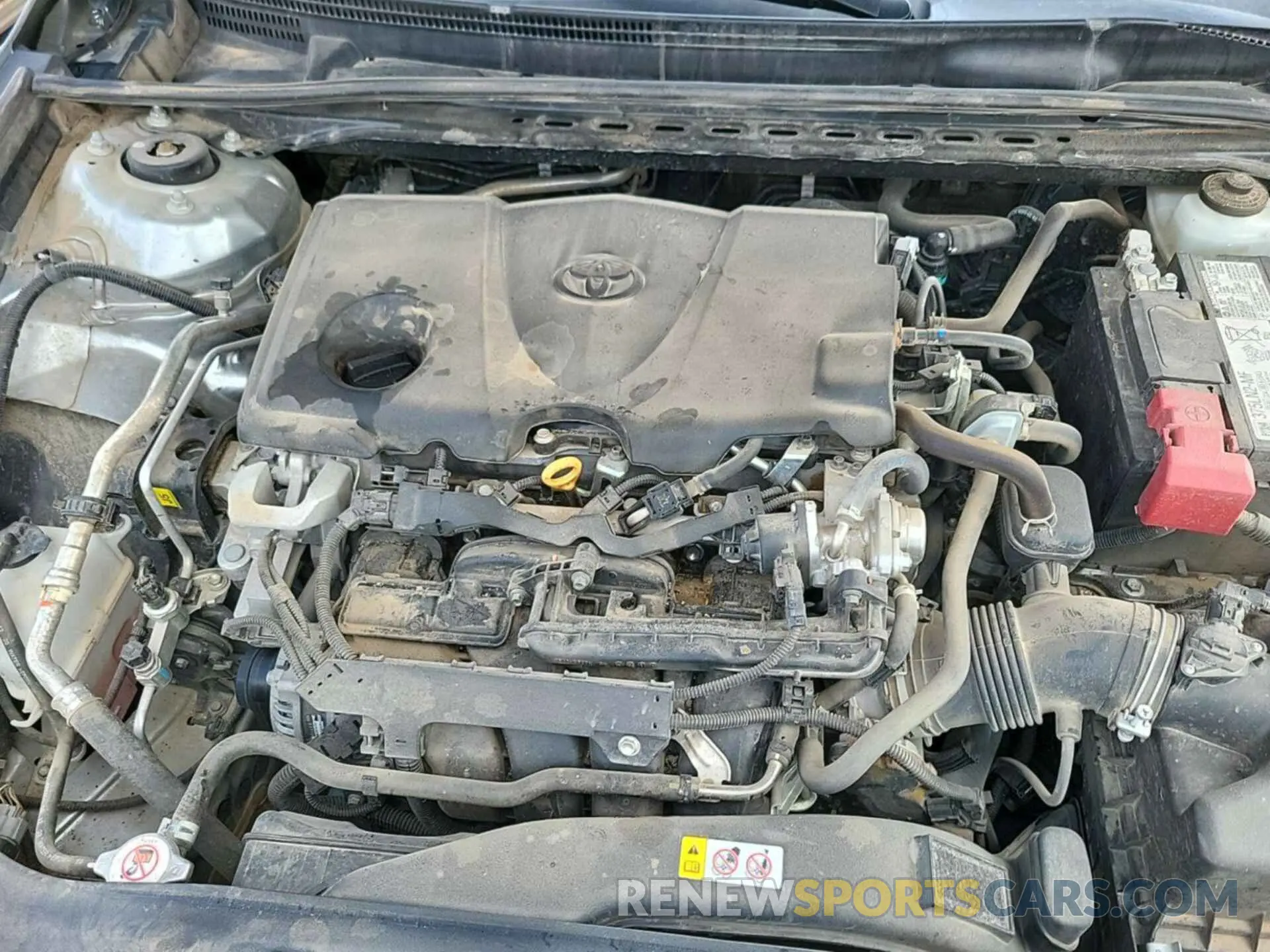 20 fotografías del automóvil dañado 4T1C11AK6NU635431 TOYOTA CAMRY 2022