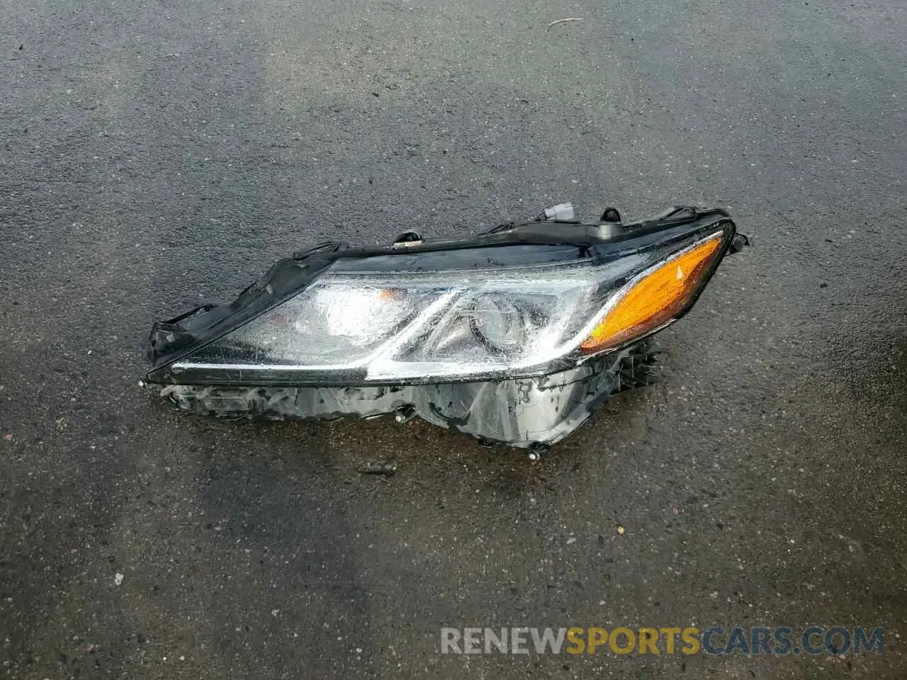 12 fotografías del automóvil dañado 4T1C11AKXNU628384 TOYOTA CAMRY 2022