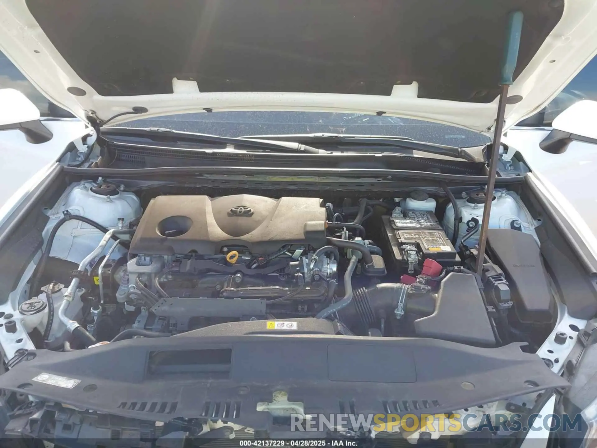 10 fotografías del automóvil dañado 4T1C11AKXNU642169 TOYOTA CAMRY 2022