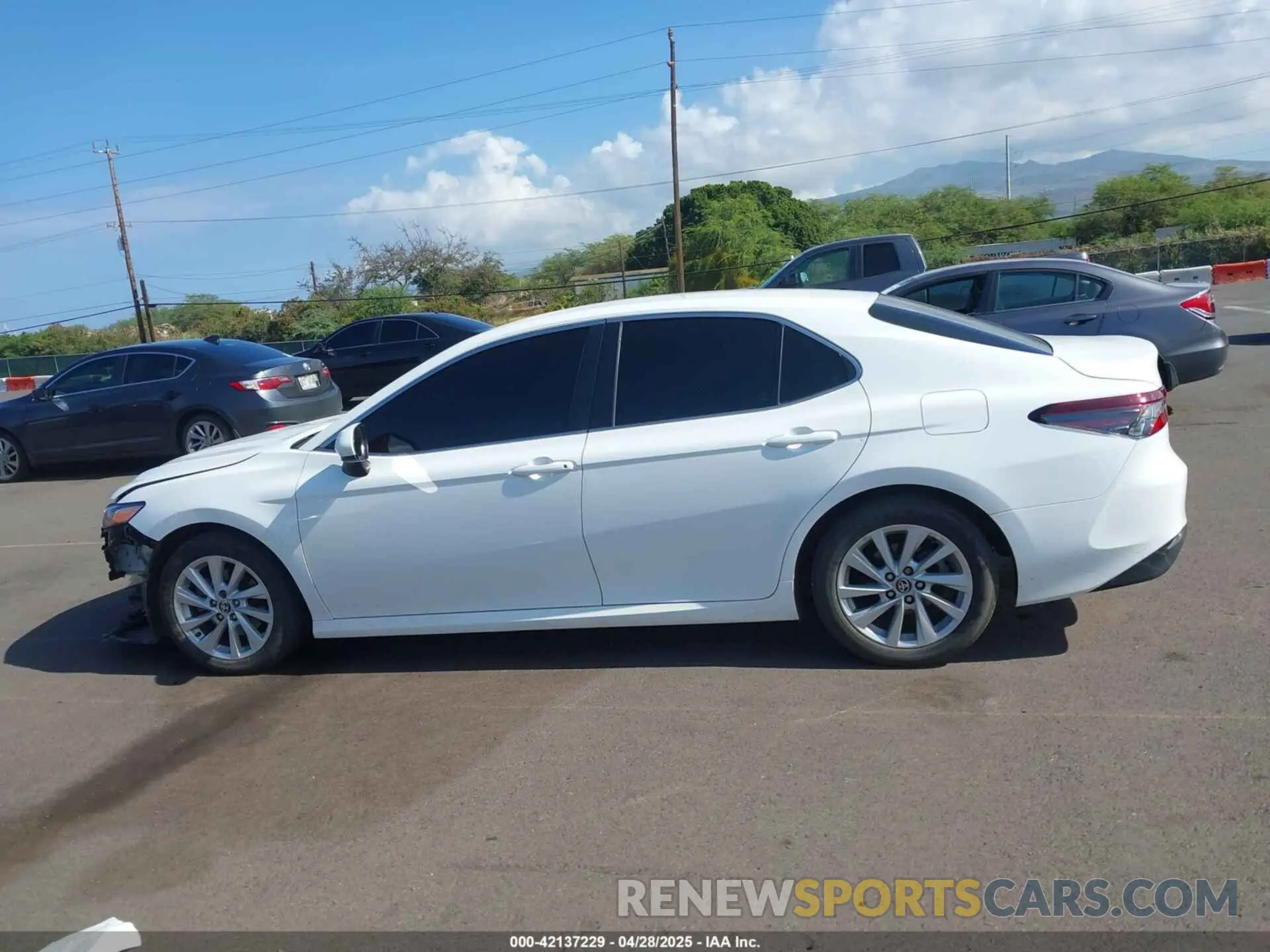 15 fotografías del automóvil dañado 4T1C11AKXNU642169 TOYOTA CAMRY 2022