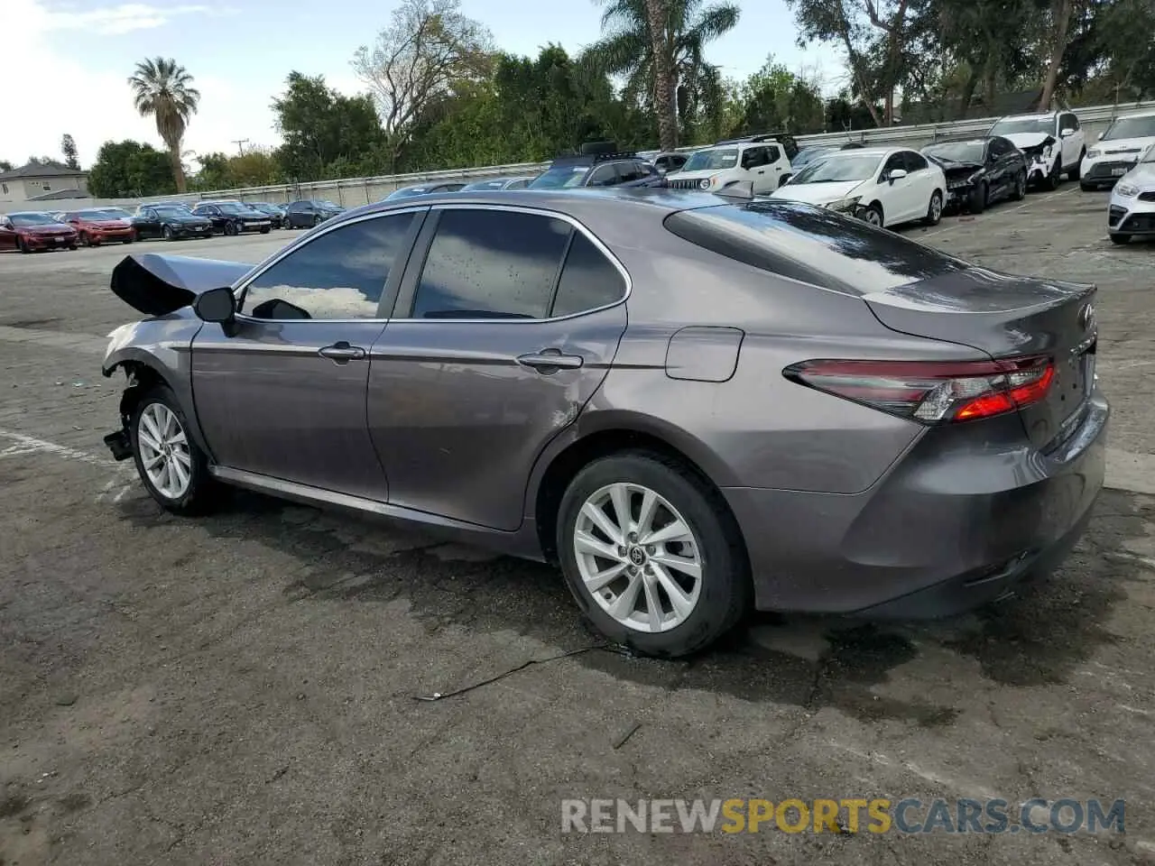 2 fotografías del automóvil dañado 4T1C11AKXNU651745 TOYOTA CAMRY 2022