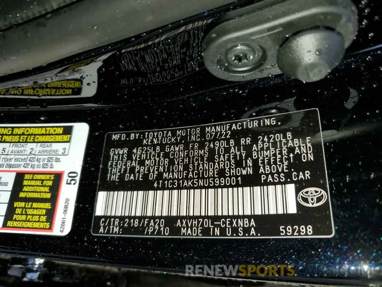 10 fotografías del automóvil dañado 4T1C31AK5NU599001 TOYOTA CAMRY 2022