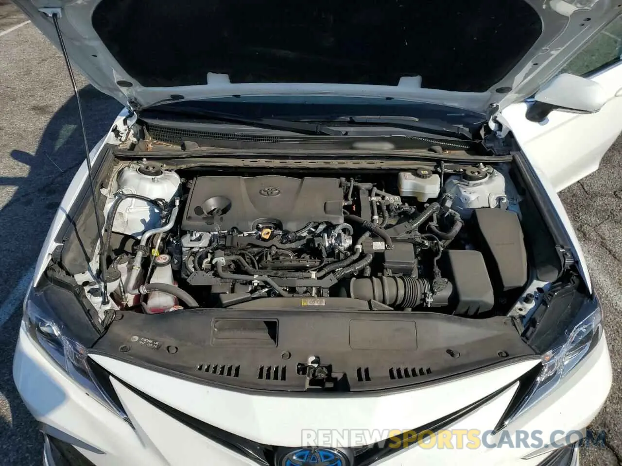 12 fotografías del automóvil dañado 4T1C31AK9NU570178 TOYOTA CAMRY 2022