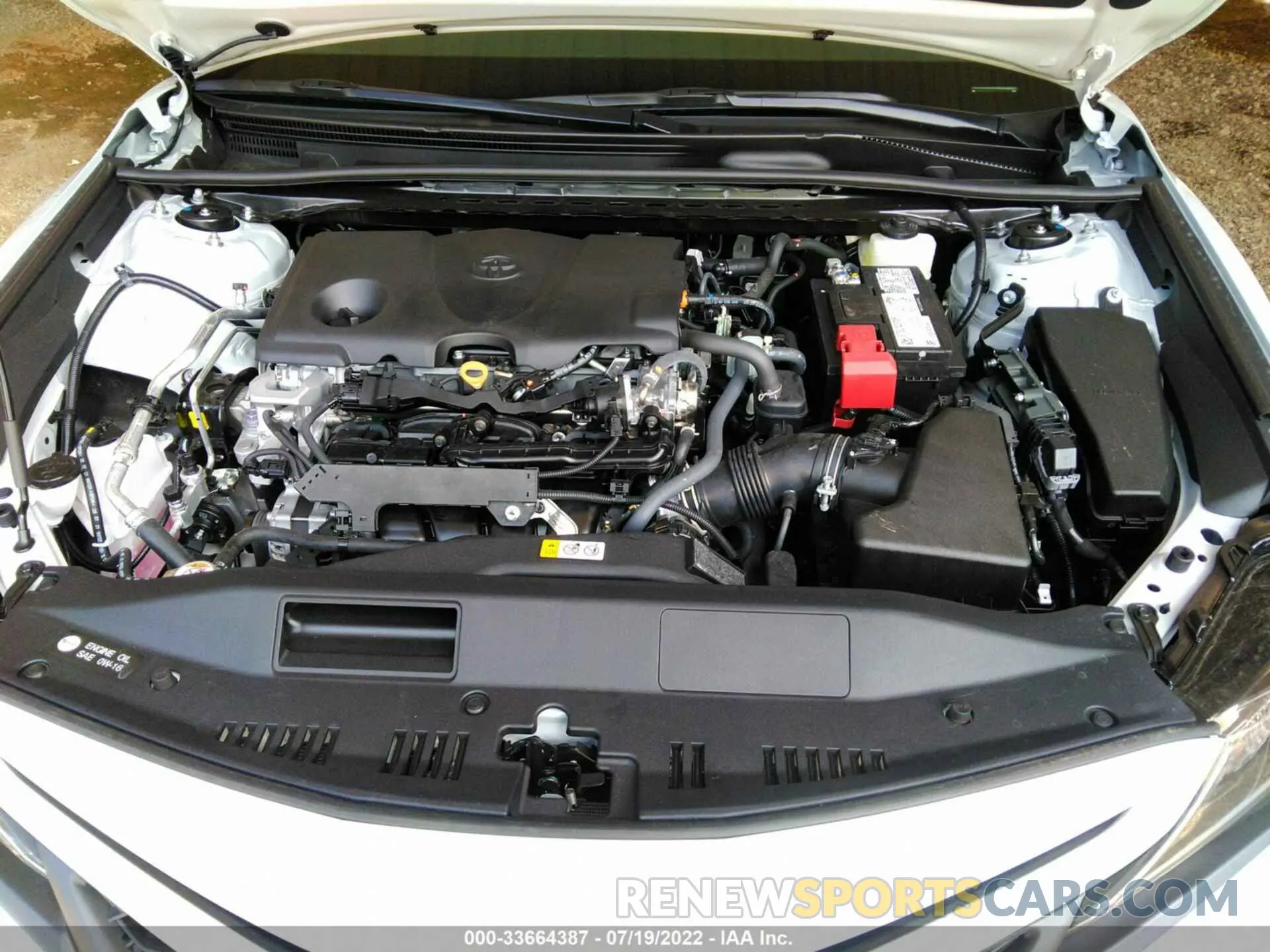 10 fotografías del automóvil dañado 4T1G11AK6NU061494 TOYOTA CAMRY 2022