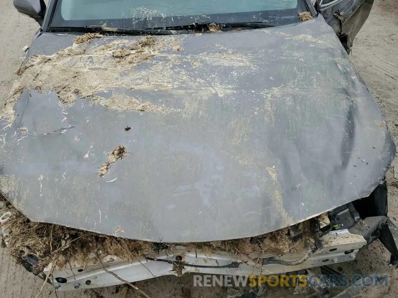 11 fotografías del automóvil dañado 4T1G11AKXNU001797 TOYOTA CAMRY 2022