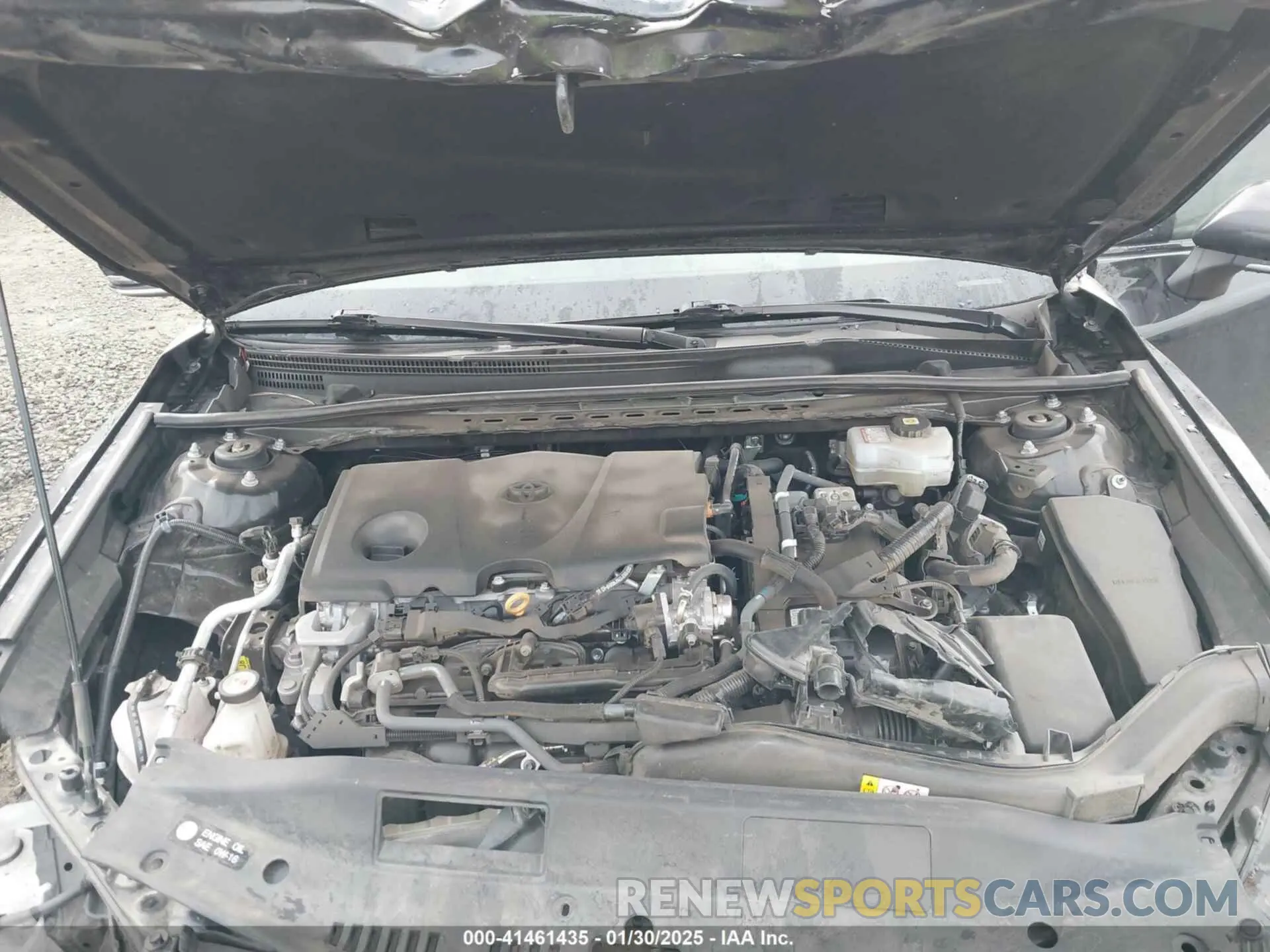 10 fotografías del automóvil dañado 4T1G31AK0NU040196 TOYOTA CAMRY 2022