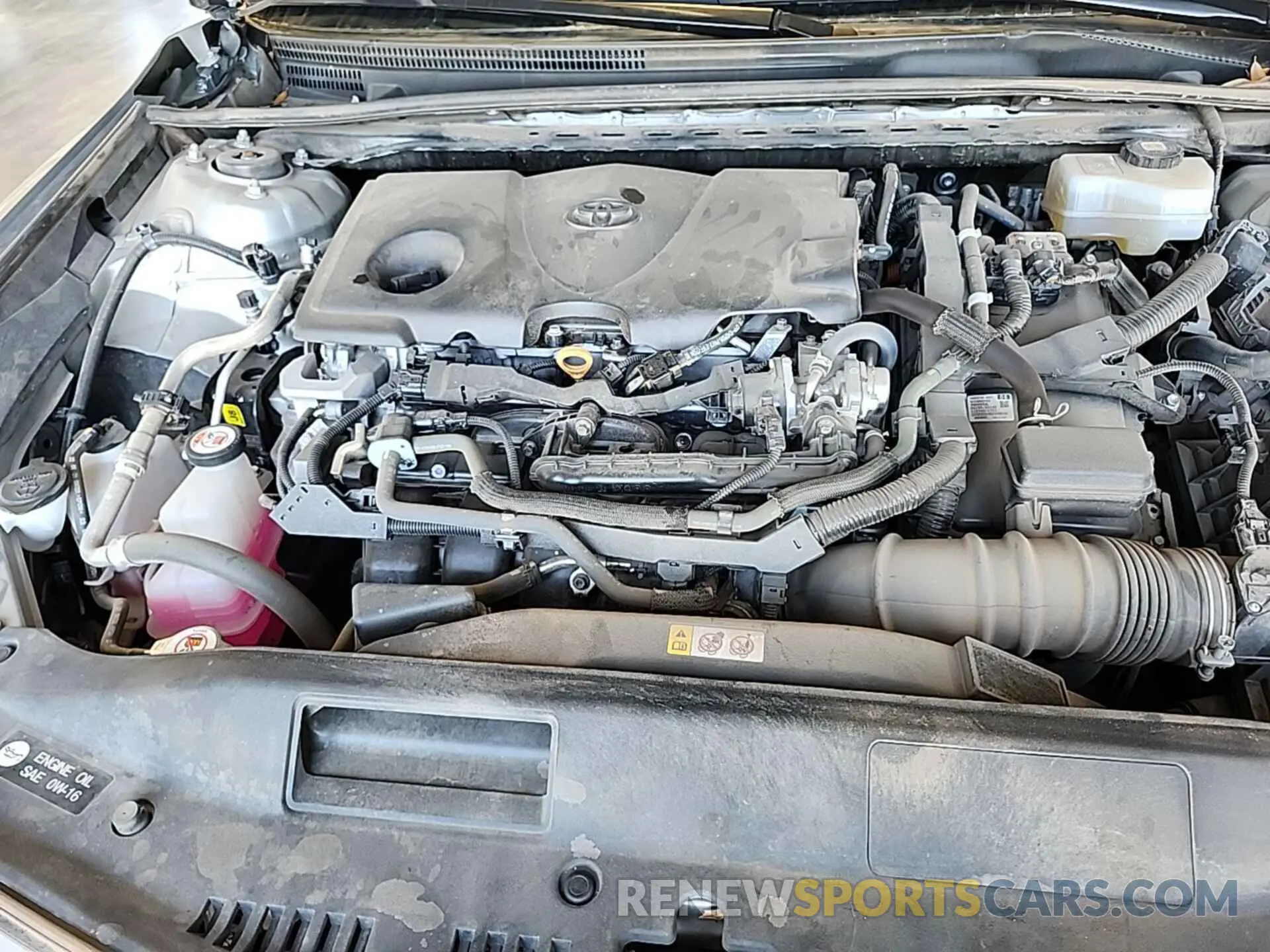 32 fotografías del automóvil dañado 4T1G31AK6NU590244 TOYOTA CAMRY 2022
