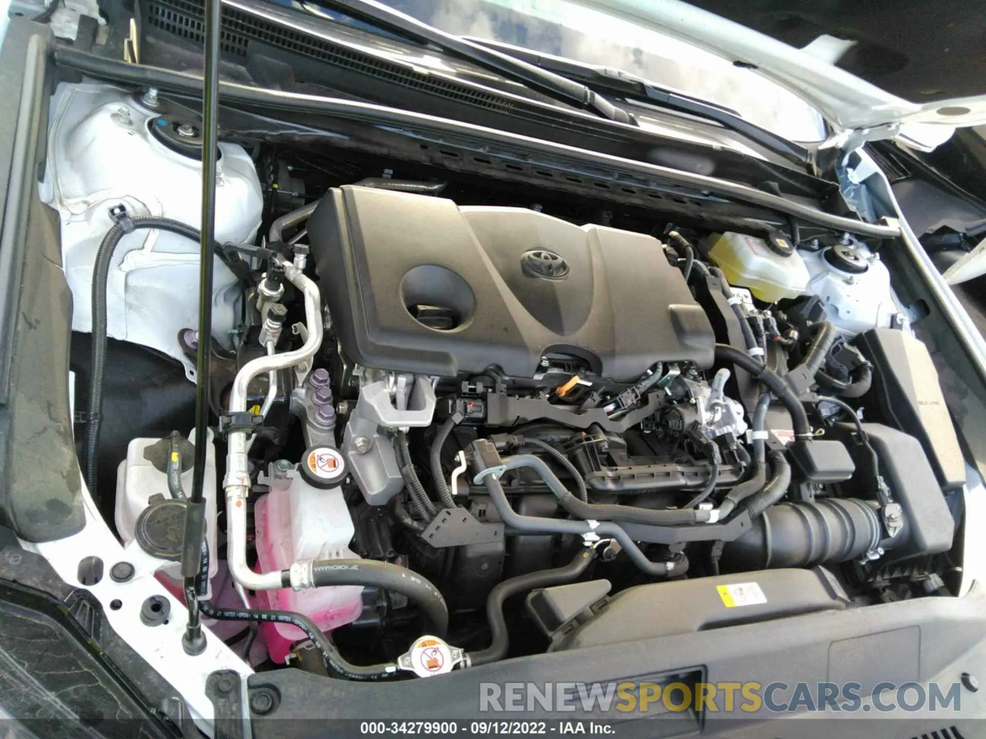 10 fotografías del automóvil dañado 4T1S31AK4NU583805 TOYOTA CAMRY 2022