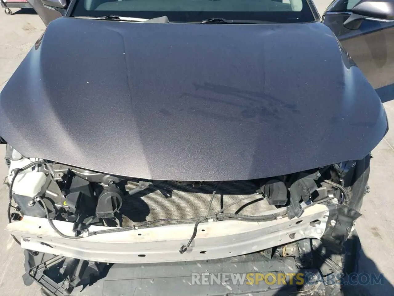 11 fotografías del automóvil dañado 4T1T11AK1NU668319 TOYOTA CAMRY 2022