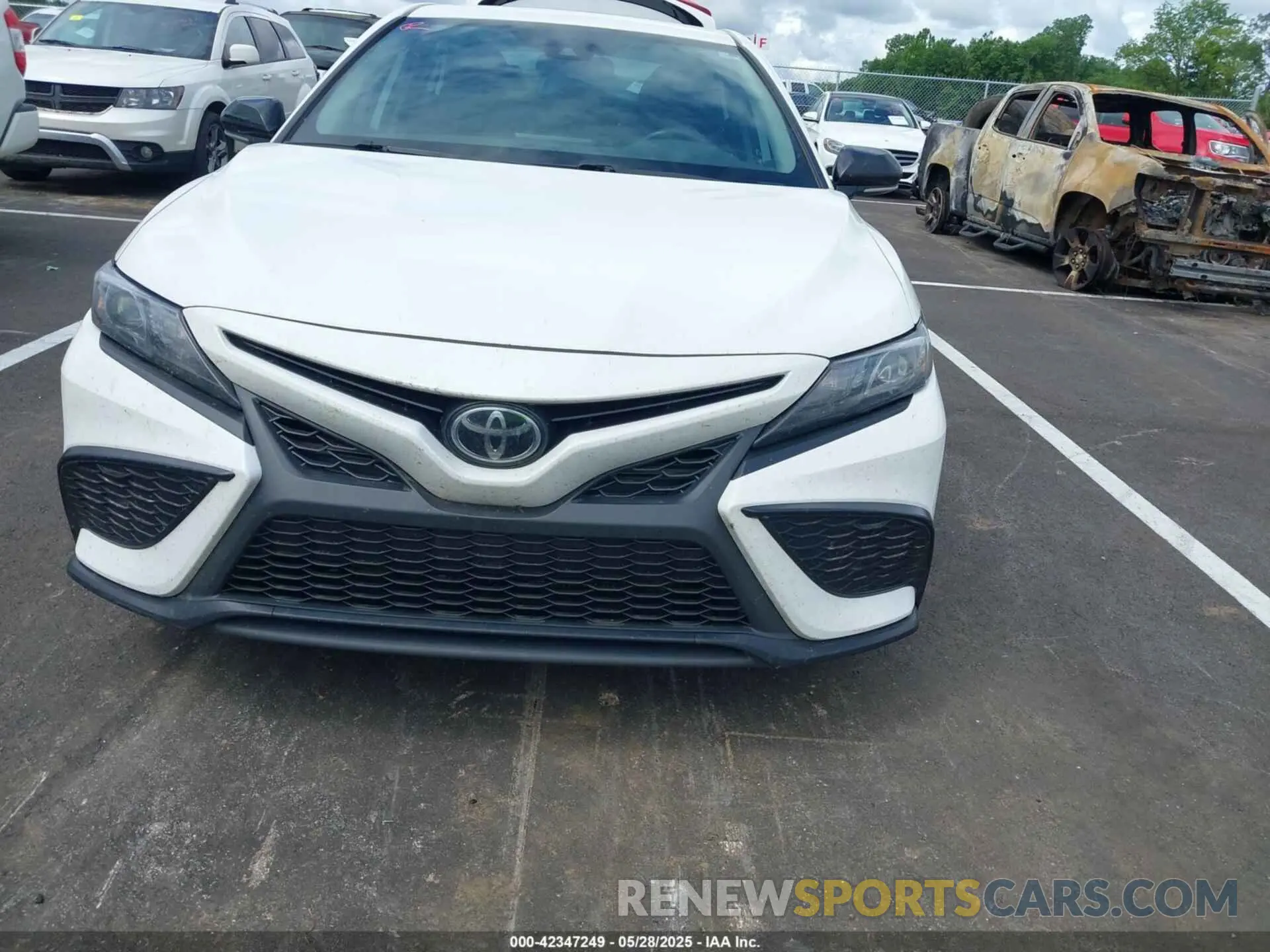 12 fotografías del automóvil dañado 4T1T11AK3NU066747 TOYOTA CAMRY 2022