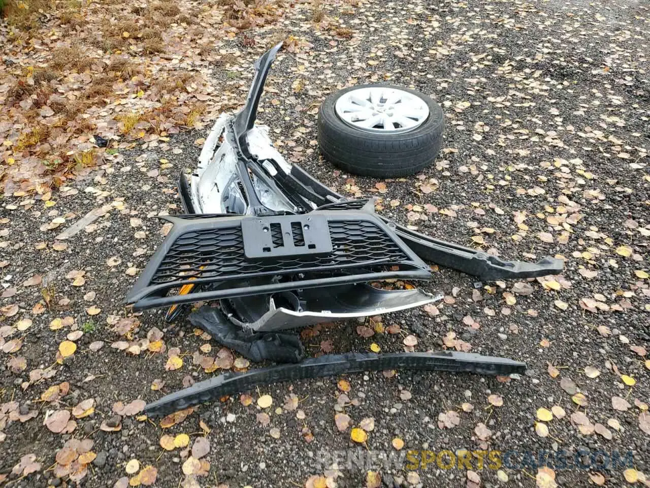 12 fotografías del automóvil dañado 4T1B21HK6PU019391 TOYOTA CAMRY 2023