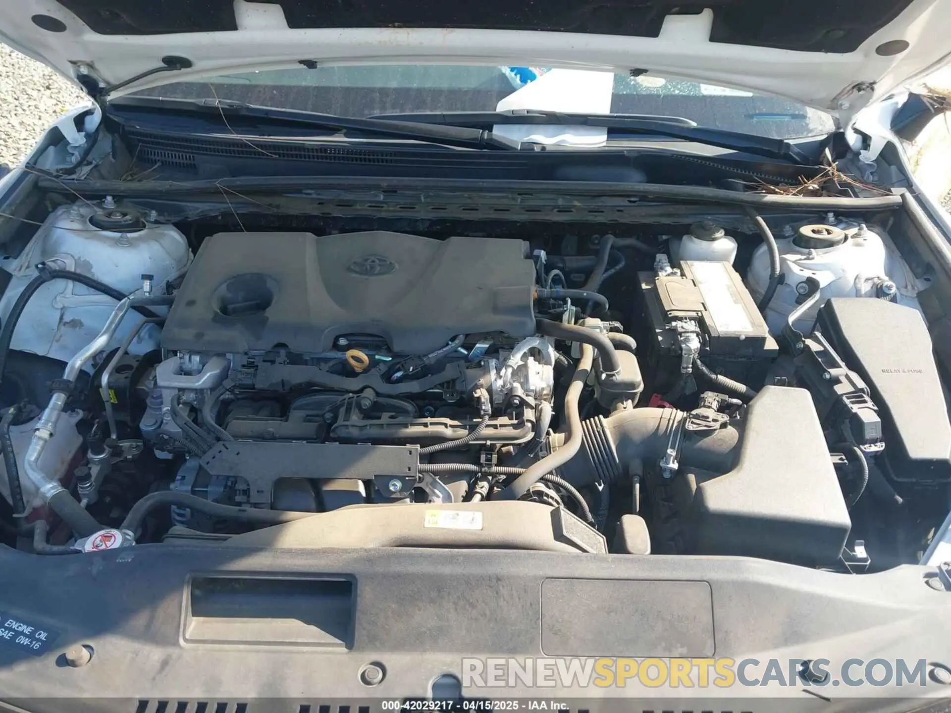 10 fotografías del automóvil dañado 4T1C11AK0PU830184 TOYOTA CAMRY 2023