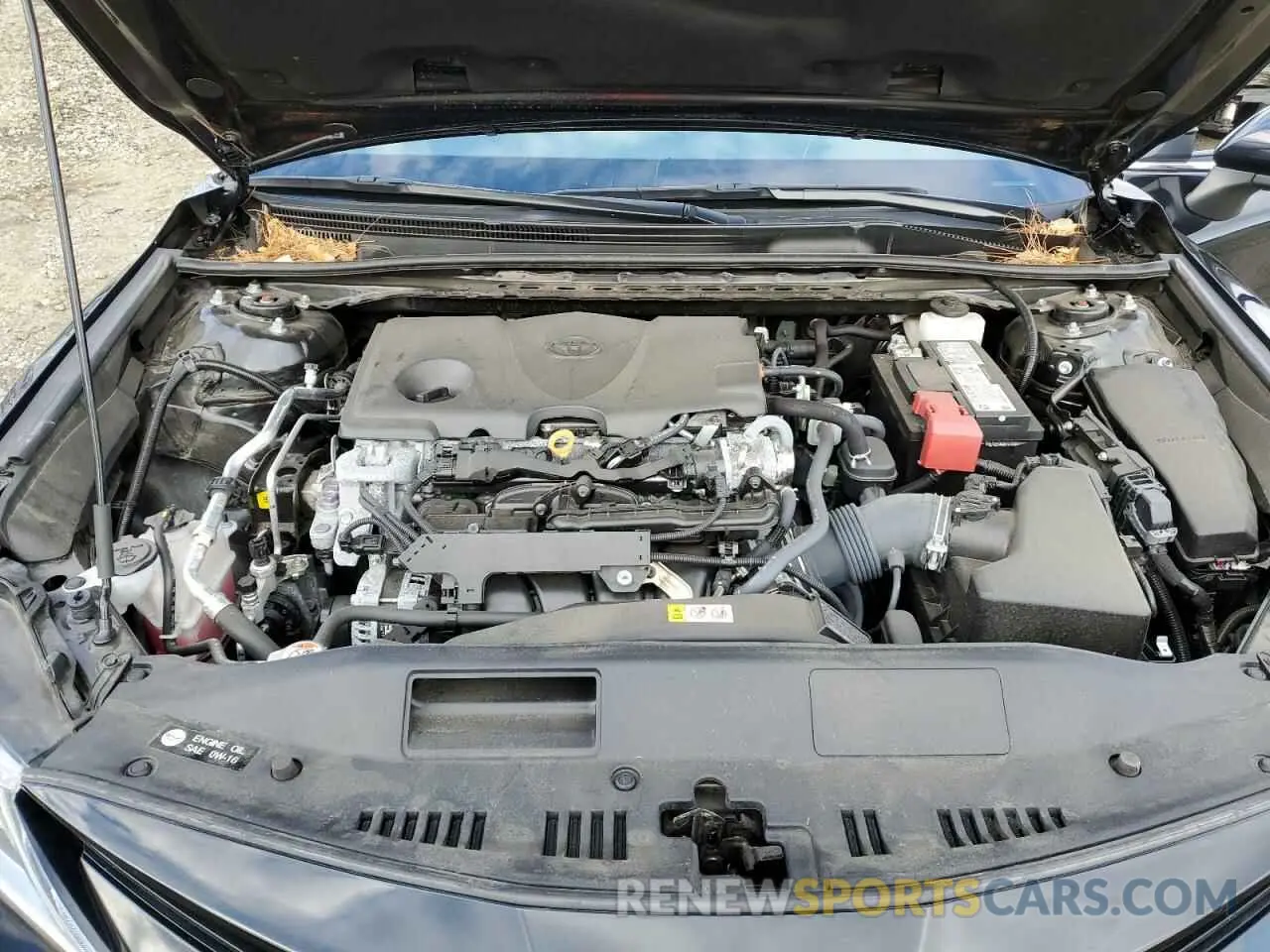 11 fotografías del automóvil dañado 4T1C11AK5PU185449 TOYOTA CAMRY 2023