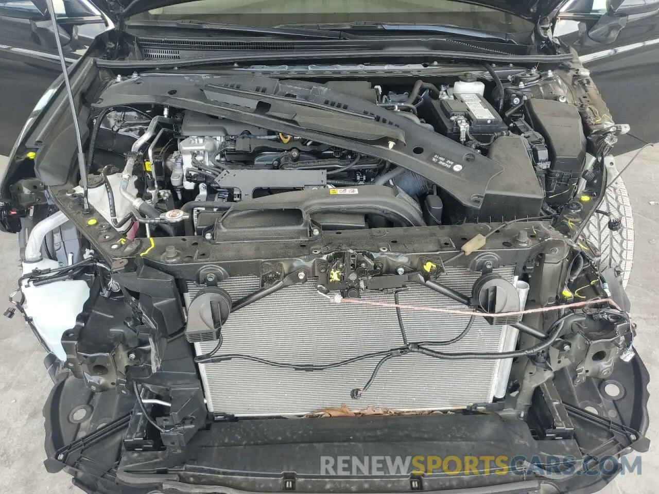 11 fotografías del automóvil dañado 4T1C11AK9PU741486 TOYOTA CAMRY 2023
