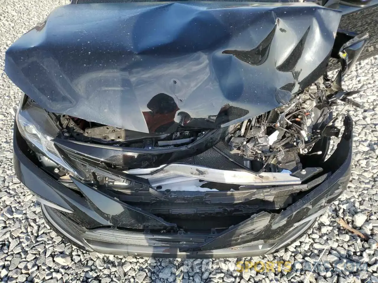 11 fotografías del automóvil dañado 4T1C11AK9PU800388 TOYOTA CAMRY 2023